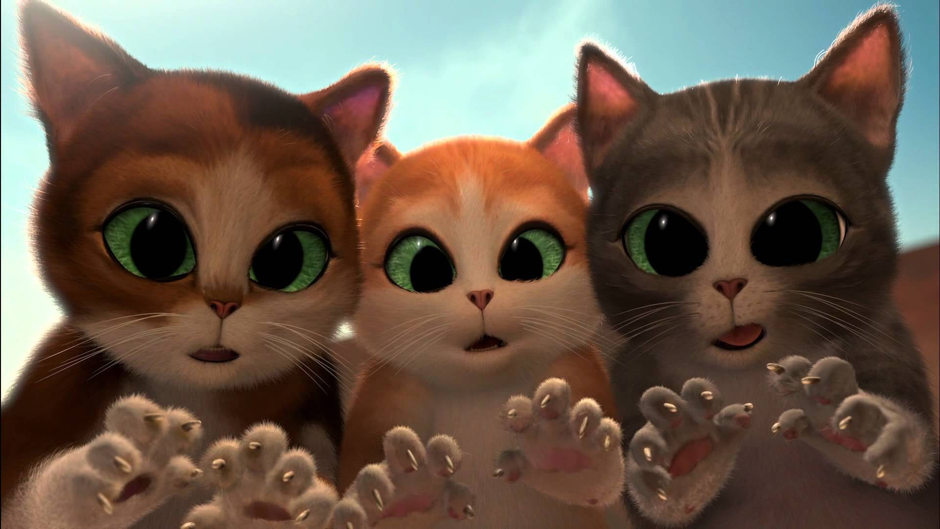 group of animals, pets, domestic, domestic cat, mammal, short film, color, portrait, domestic animals, digital composite, whisker, tale, kittens, two animals, HD Wallpaper