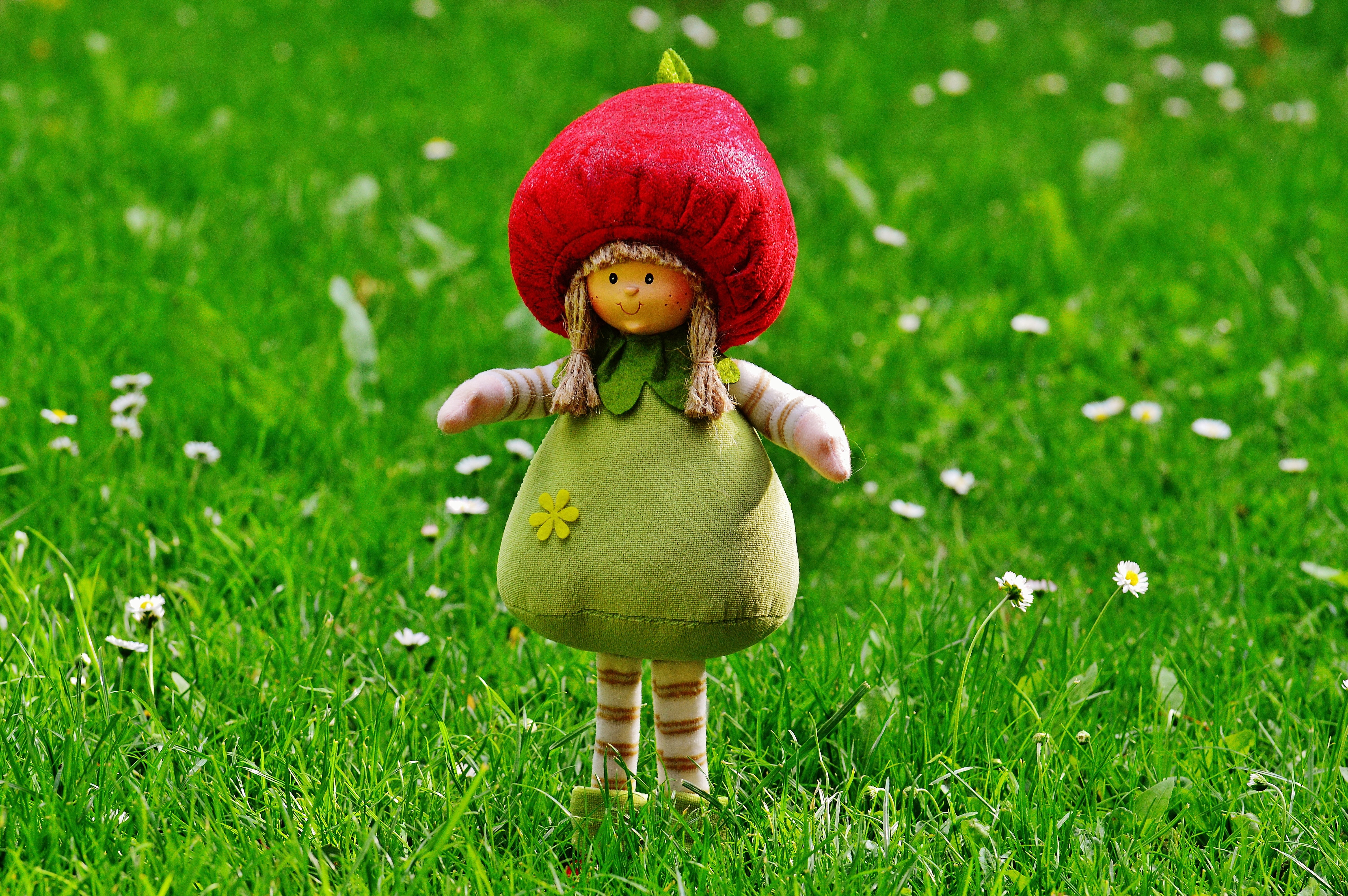 small, front view, plush, doll, meadow, childhood, innocence, grass, 5K, imp, decoration, hat, green color, sweet, are, plant, toy, child, clothing, full length, HD Wallpaper