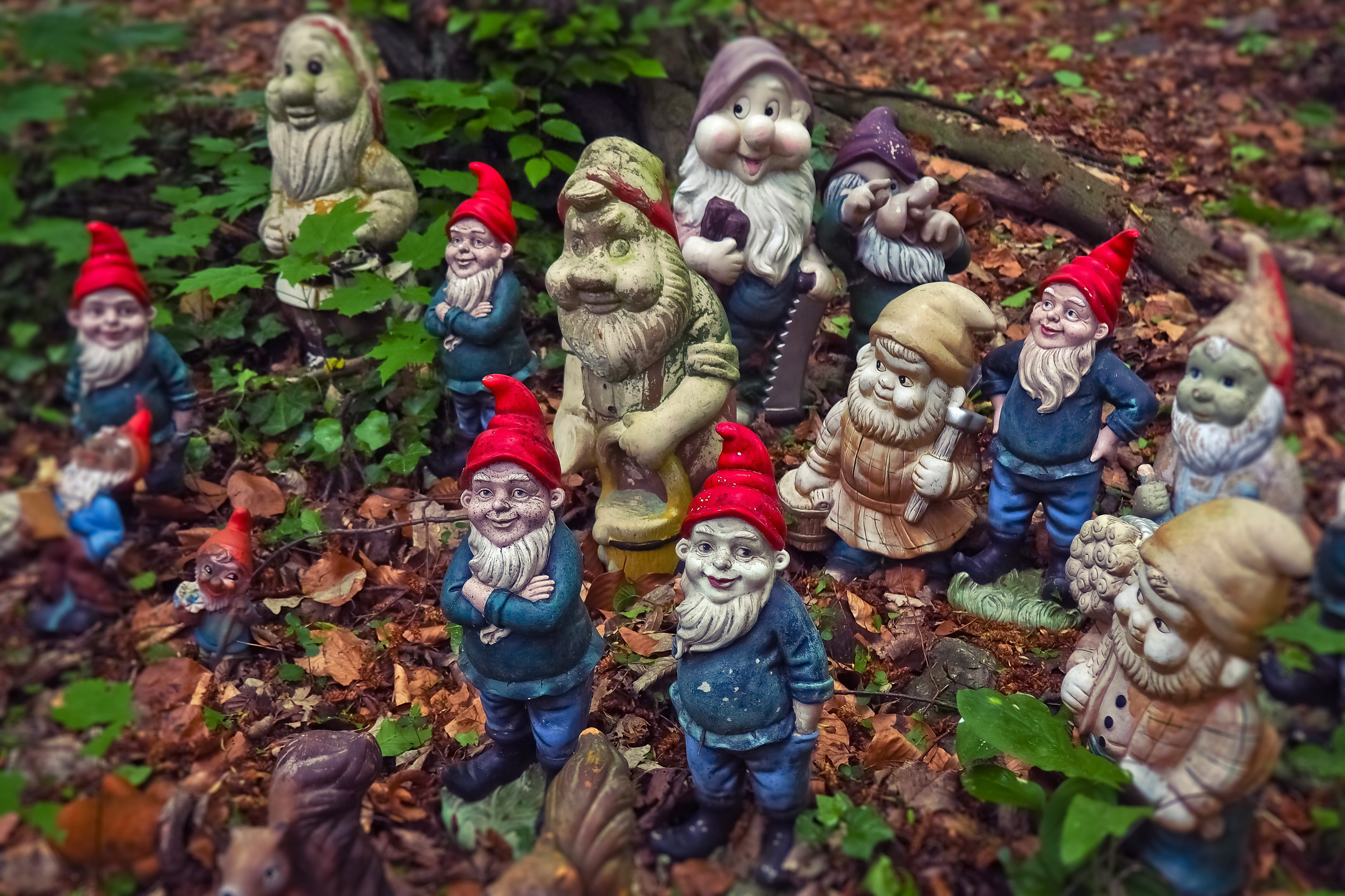 collection, spirituality, plant part, no people, group, color, representation, 4K, deco, selective focus, outdoors, idol, male likeness, nature, cheerful, HD Wallpaper