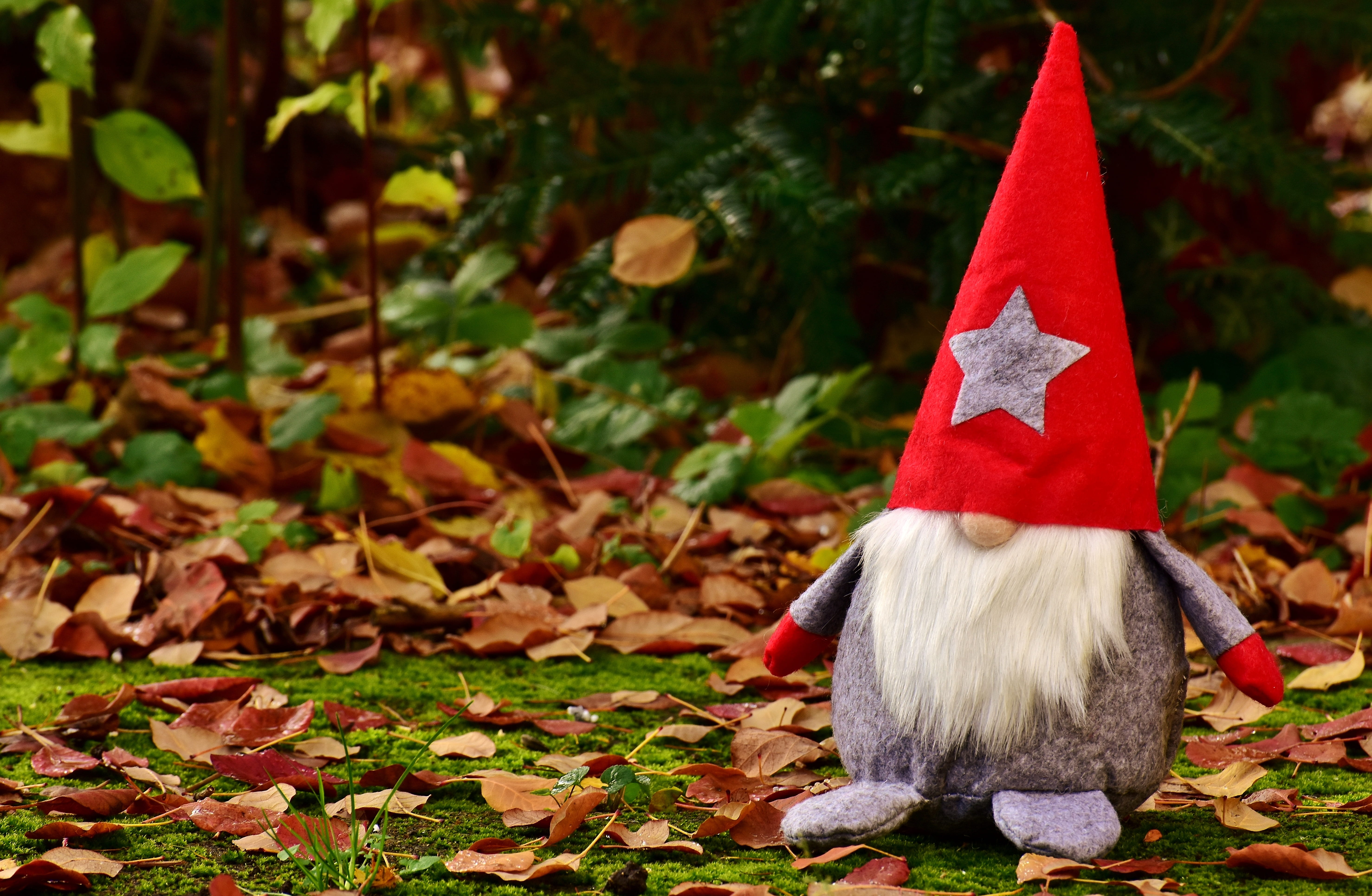 figure, funny, plant, deco, near, animal, close-up, christmas, animal themes, plush, leaves, day, leaf, males, red, focus on foreground, art and craft, HD Wallpaper