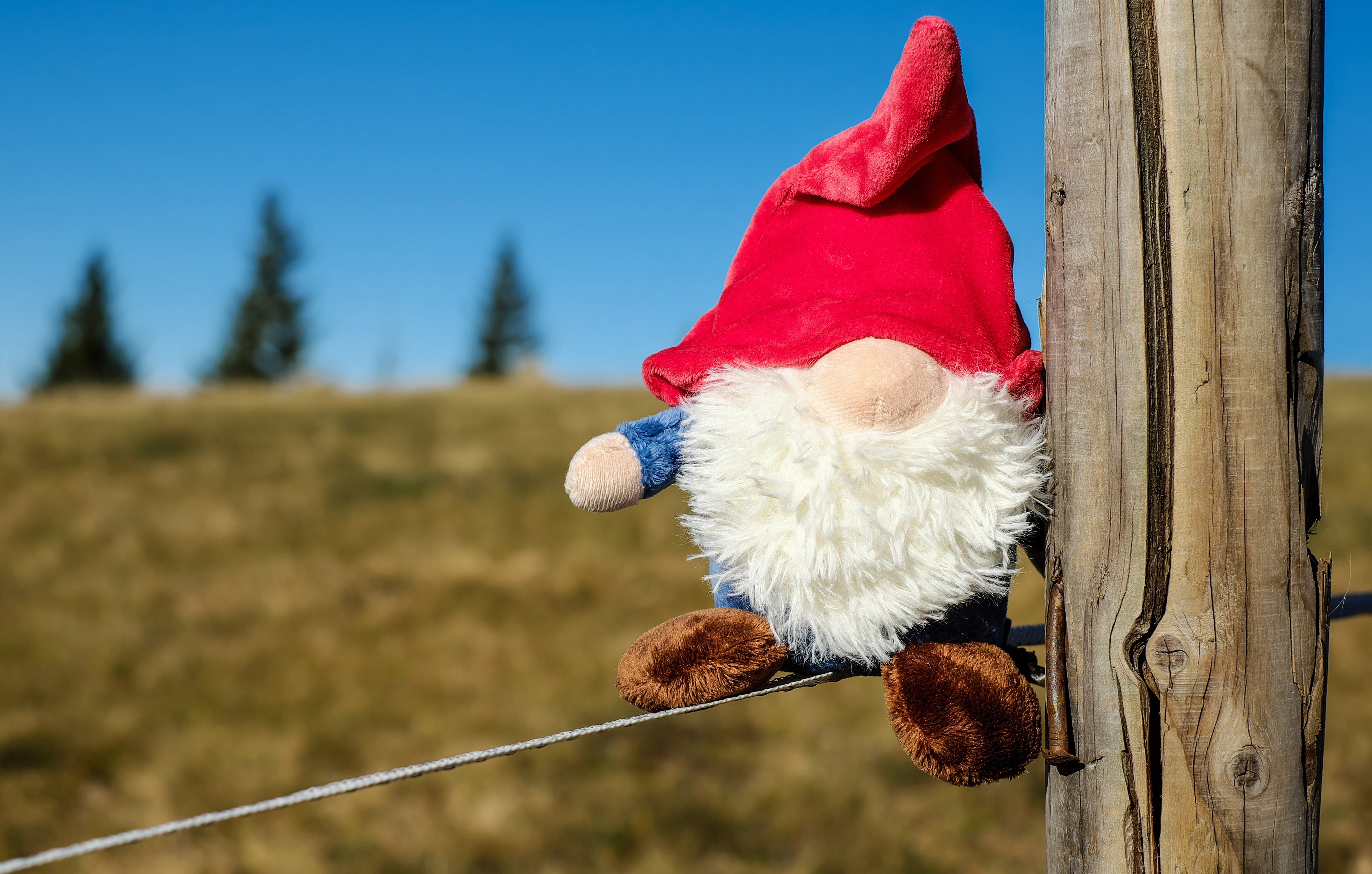 sweet, focus on foreground, toy, winter, kobold, sky, elf, celebration, outdoors, close-up, christmas, imp, turns, gray, plant, rural scene, red, decoration, HD Wallpaper