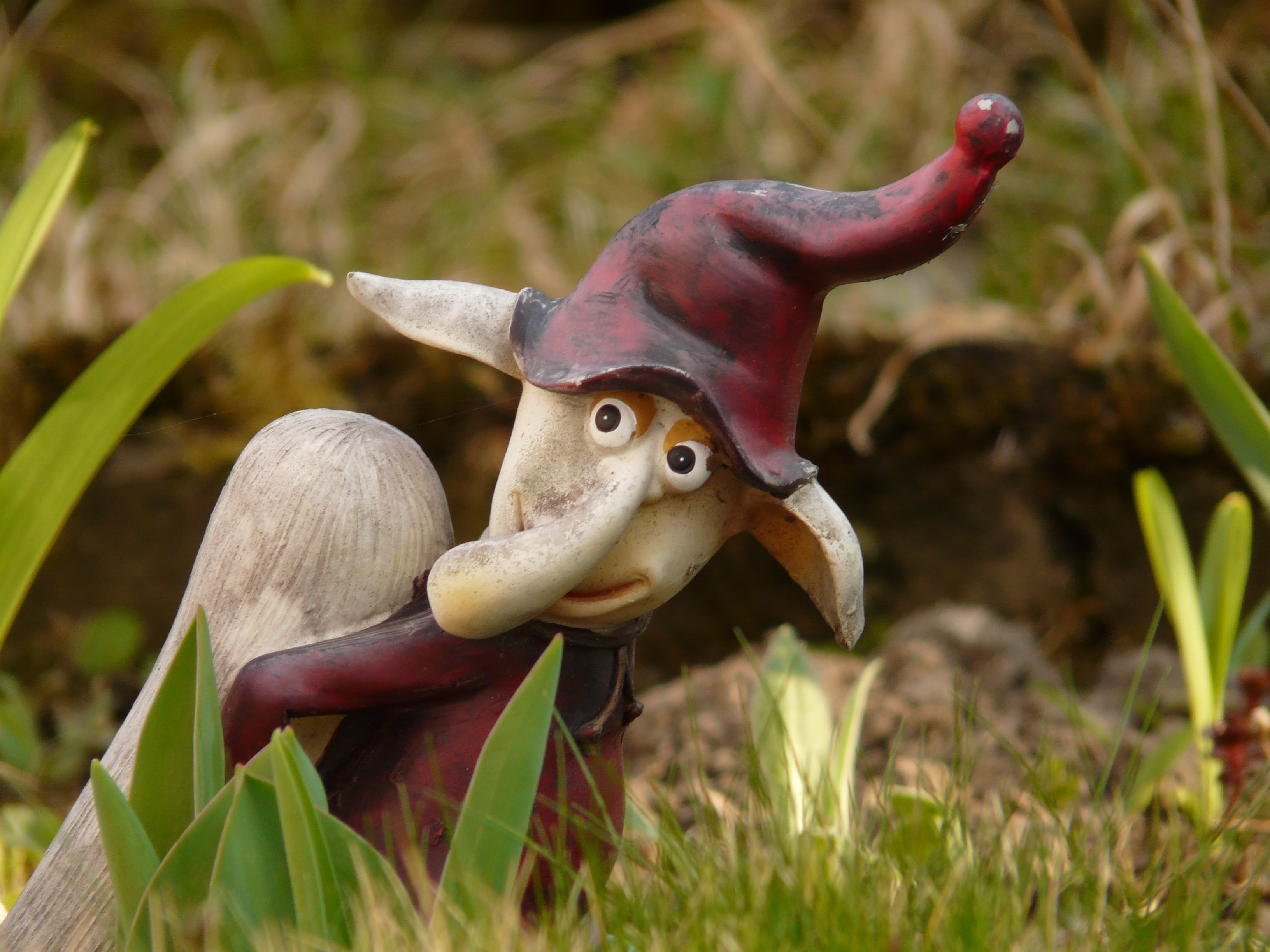 close-up, krumme nase, exhausting, animal head, funny, horned, dwarf, growth, representation, 2K, garden, mammal, grass, are, no people, plant, mushroom, HD Wallpaper