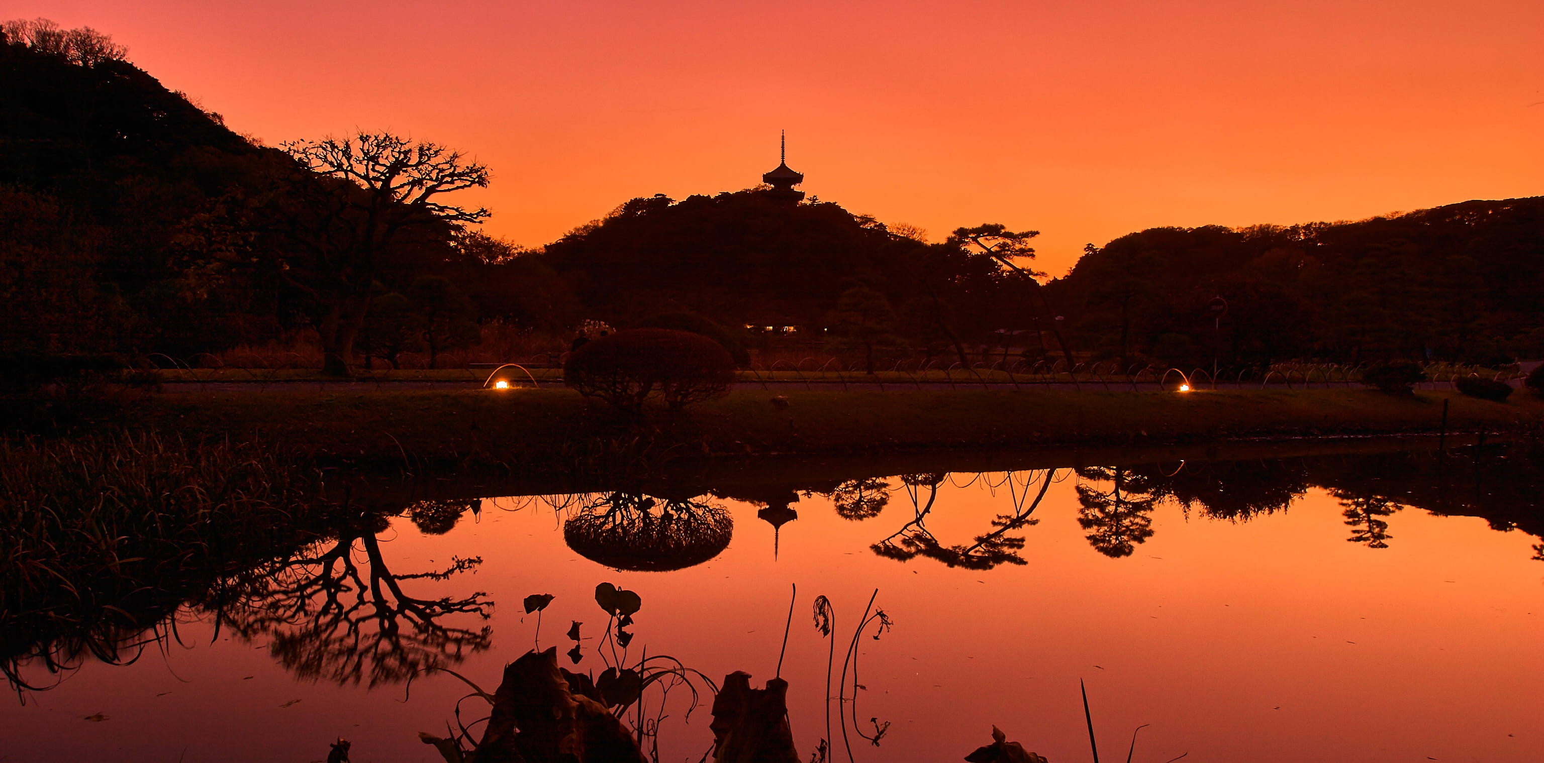 yokohama, architecture, japan garden, plant, evening view, kanagawa japan, religion, landscape, lake, winter, pagoda, outdoors, sunset, reflection, sankeien garden, HD Wallpaper