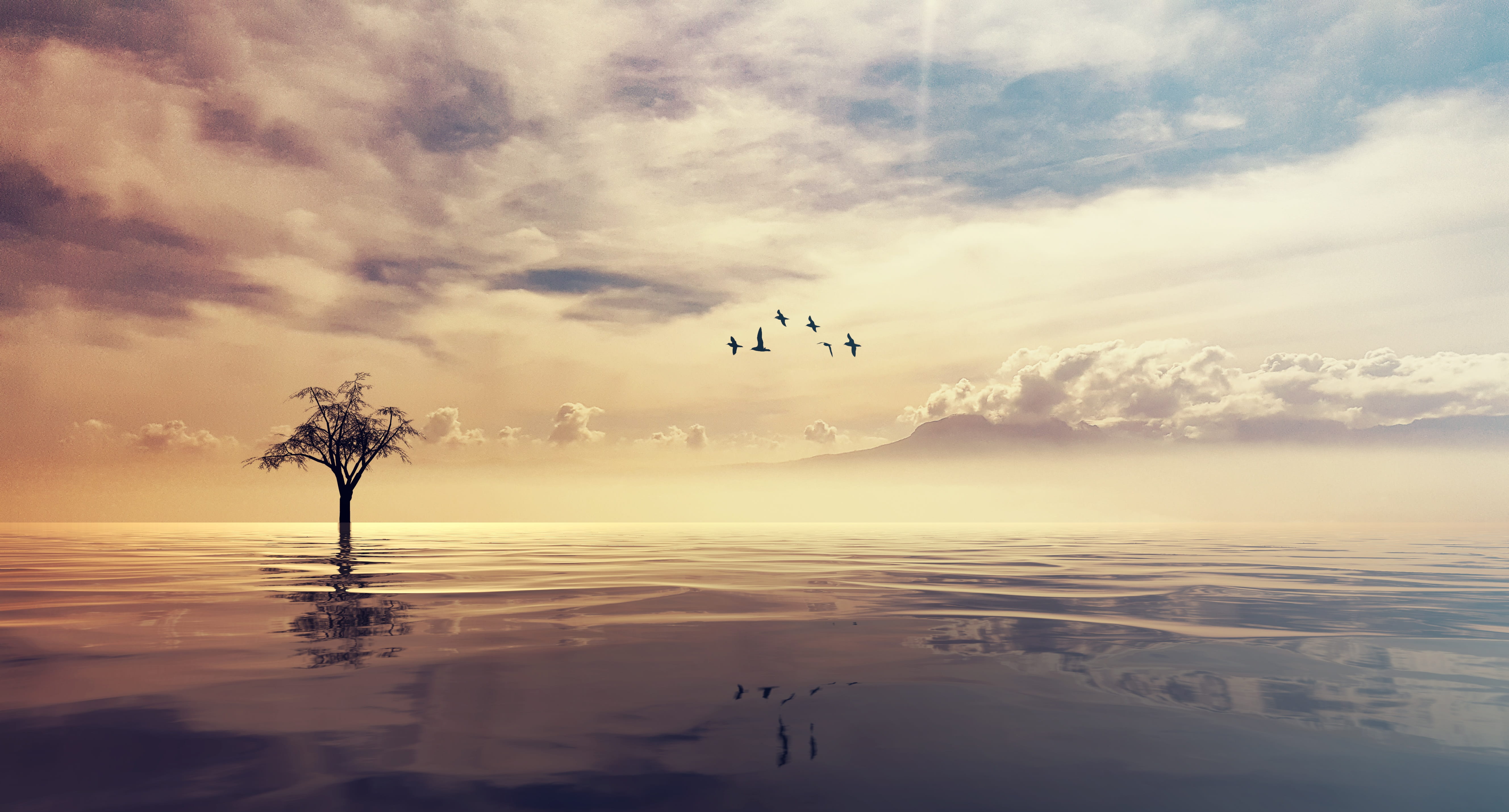 bird, 5K, outdoors, animals in the wild, animal wildlife, calm, scenics - nature, dawn, meditate, sea, waterfront, animal, morning, clouds, relax, animal themes, HD Wallpaper