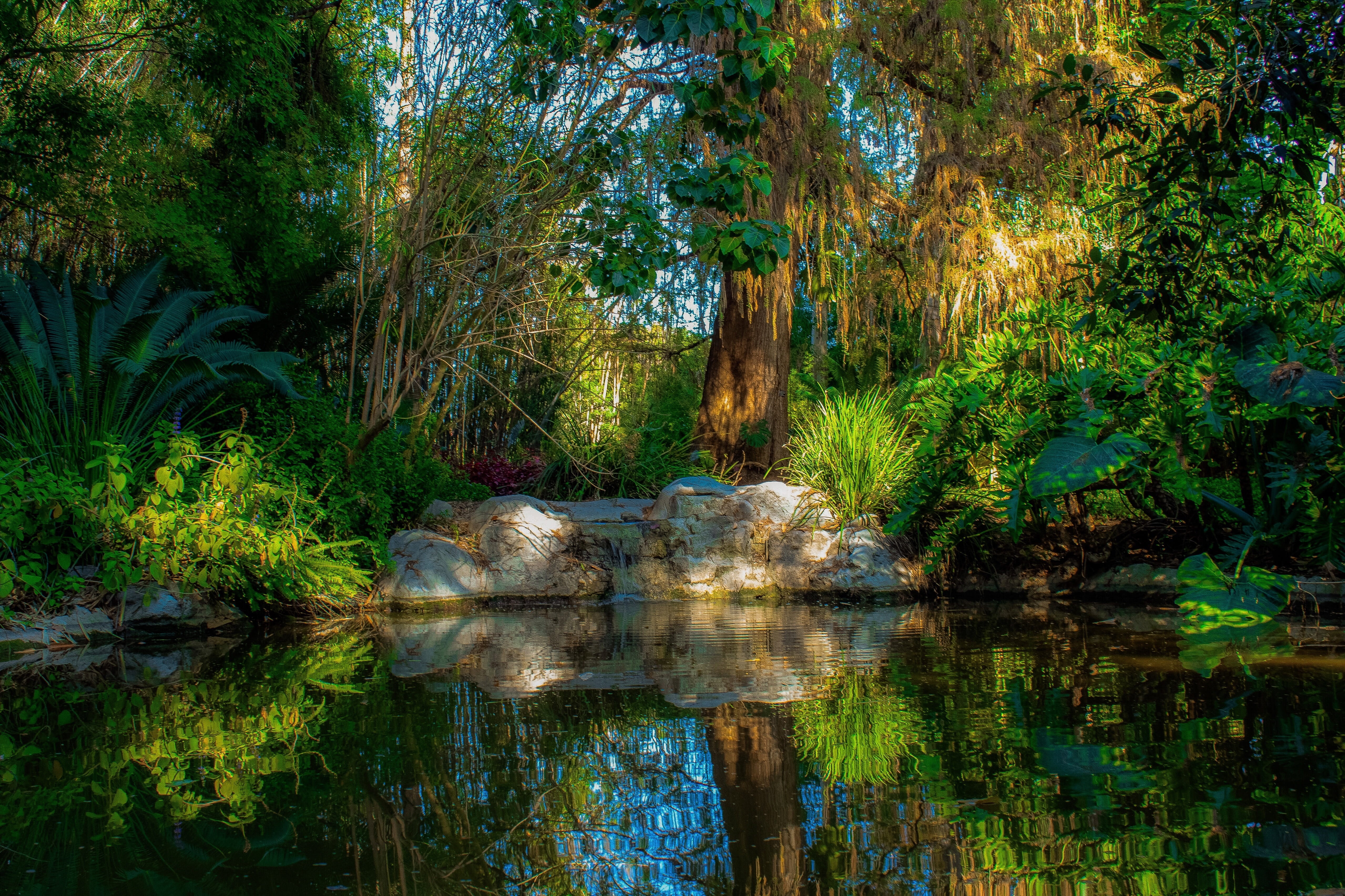 day, water, meditation, beauty in nature, environment, outdoor, zen, trees, calm, plant, tranquil, scenic, land, reflection, pond, 4K, lush, garden, scenics - nature, HD Wallpaper