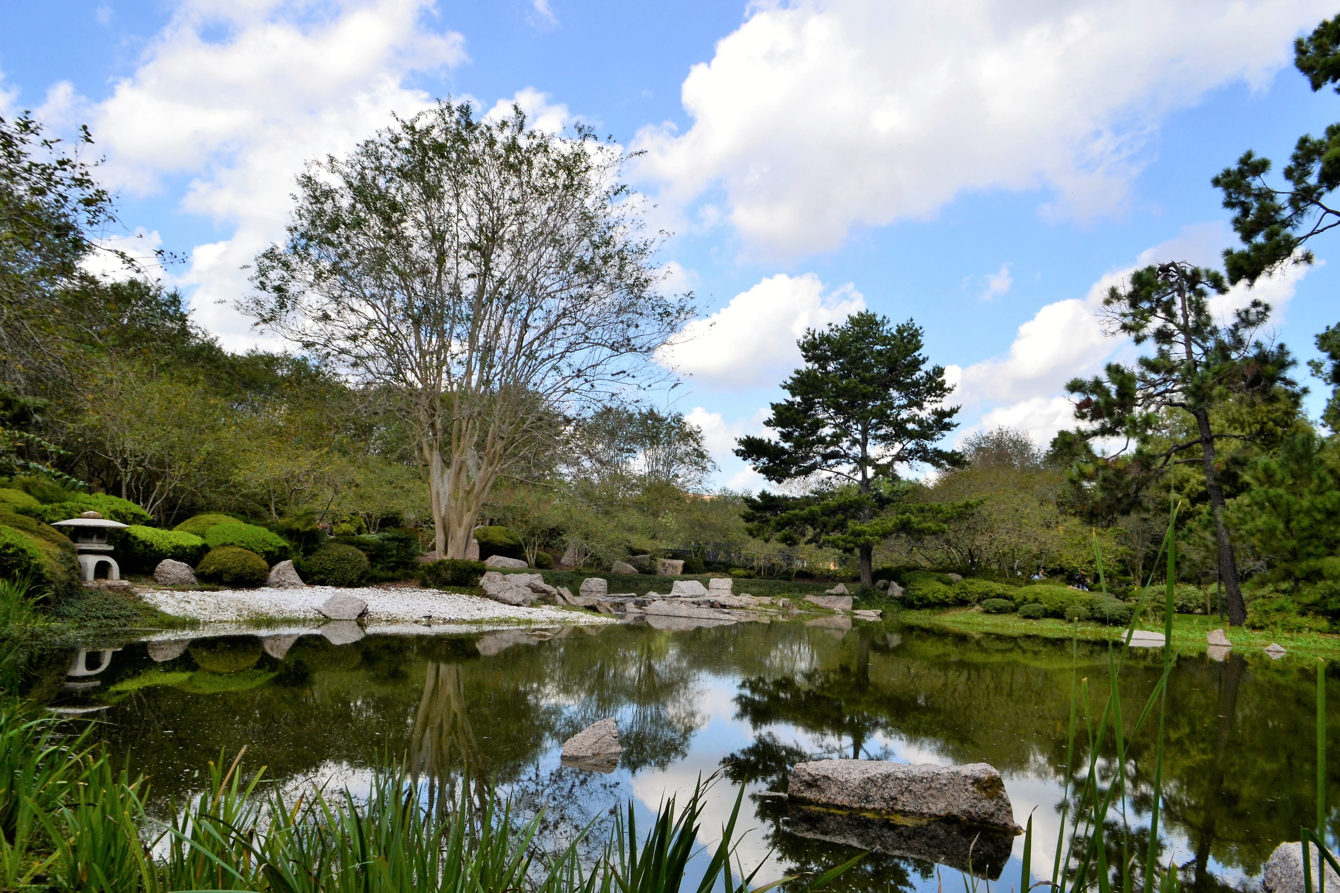 bloom, asian, japanese garden, colorful, skies, garden, surrounded, nature, warm, white, cloudy, park, trim, landscape, sunny, gardening, natural, tranquil scene, HD Wallpaper