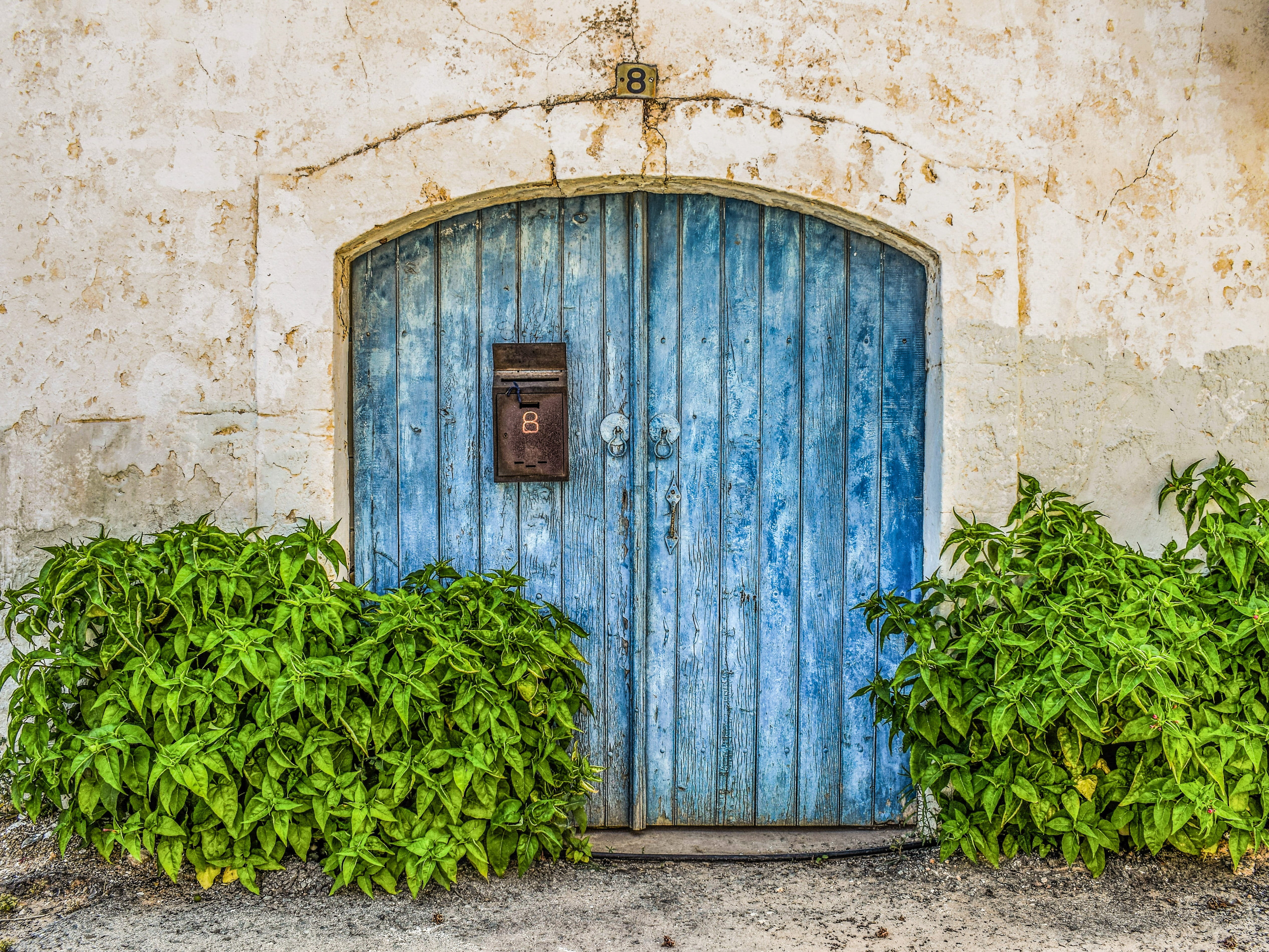 doorway, House, built Structure, no People, cyprus, Old, village, blue, home, Gate, Door, entrance, protection, facade, building Exterior, green Color, HD Wallpaper