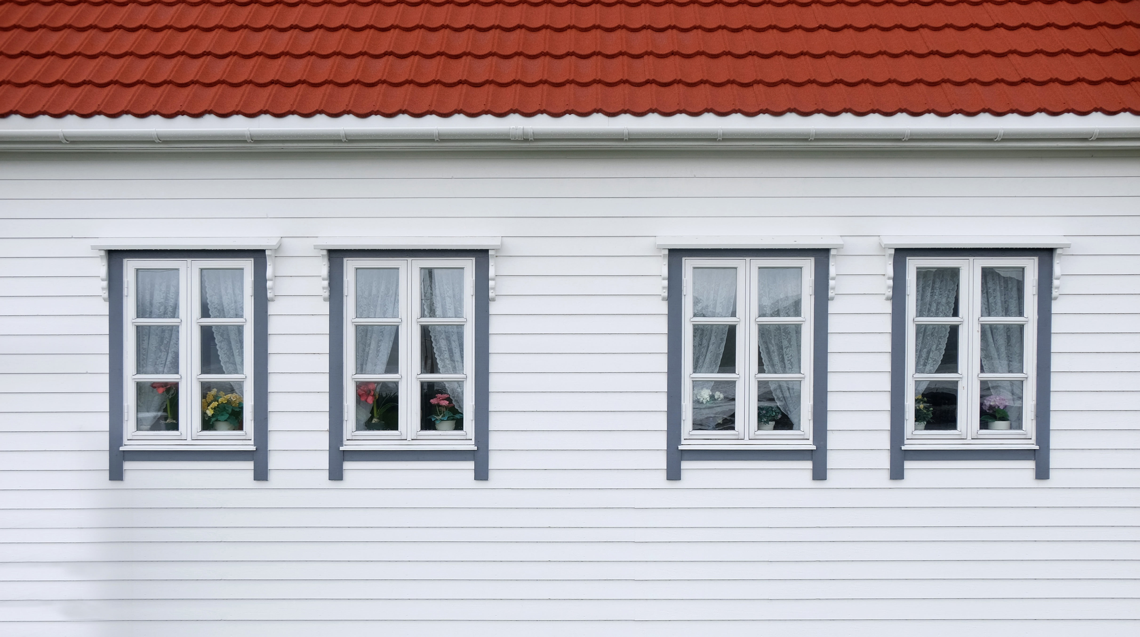 four, home, window, entrance, nature, white color, brown, door, aesthetic, residential building, building exterior, city, no people, wooden, glass - material, HD Wallpaper