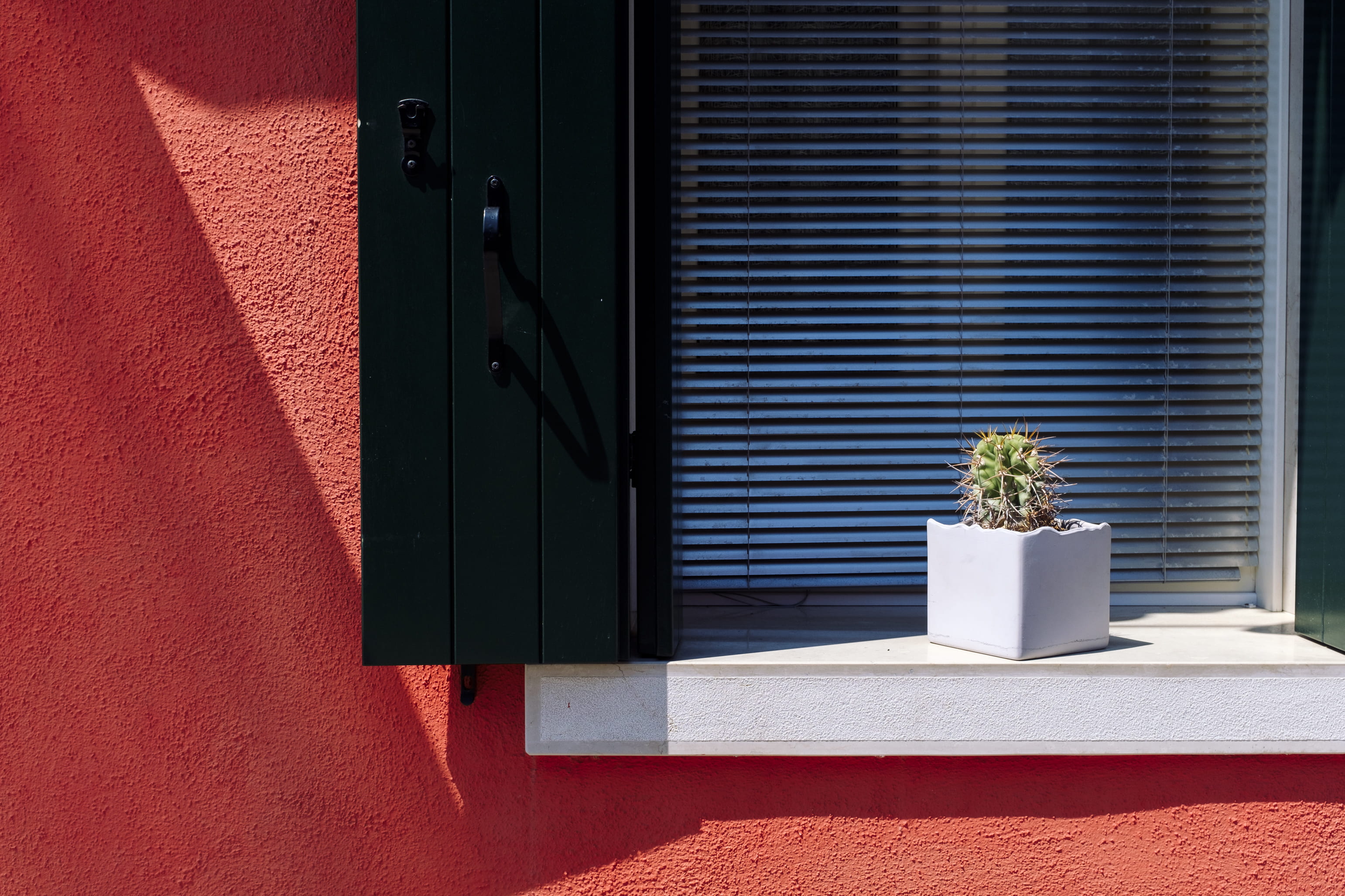 fujifilm, sunlight, cactu, door, entrance, window, minimal, architecture, closed, 2K, pot, outdoors, building, cactus, building exterior, no people, wall - building feature, HD Wallpaper