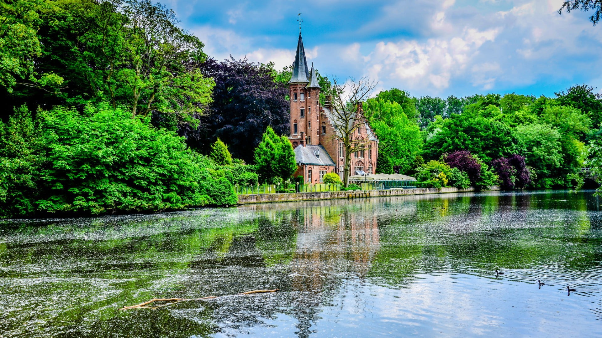  place of worship, built structure, architecture, building, sky, castle, Brugge, outdoors, 1080P, travel destinations, plant, reflection, lake, HD Wallpaper