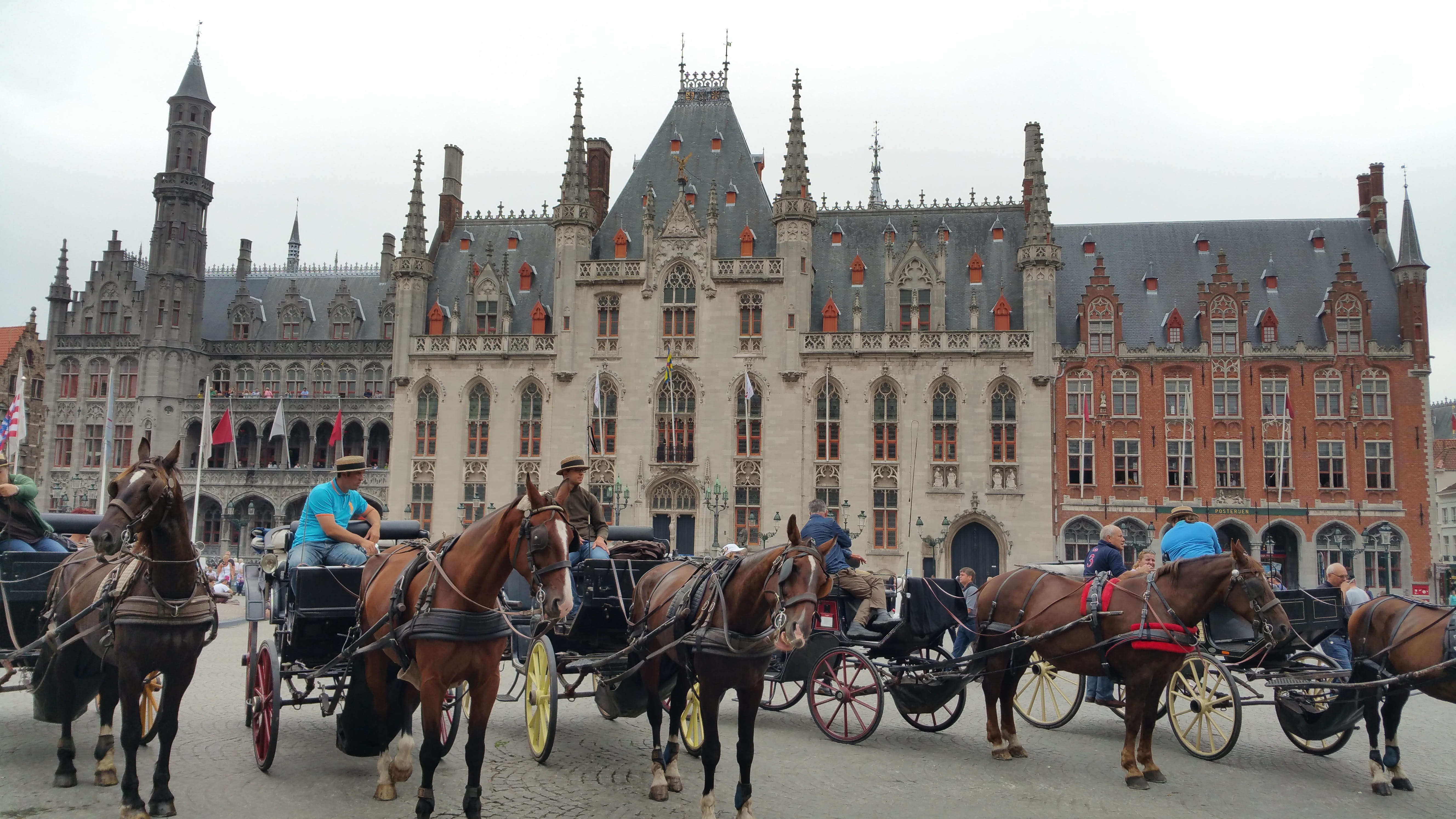 horsedrawn, built structure, herbivorous, animal wildlife, building exterior, brugge, vertebrate, belgium, cart, bruges, horse, travel destinations, domestic, HD Wallpaper