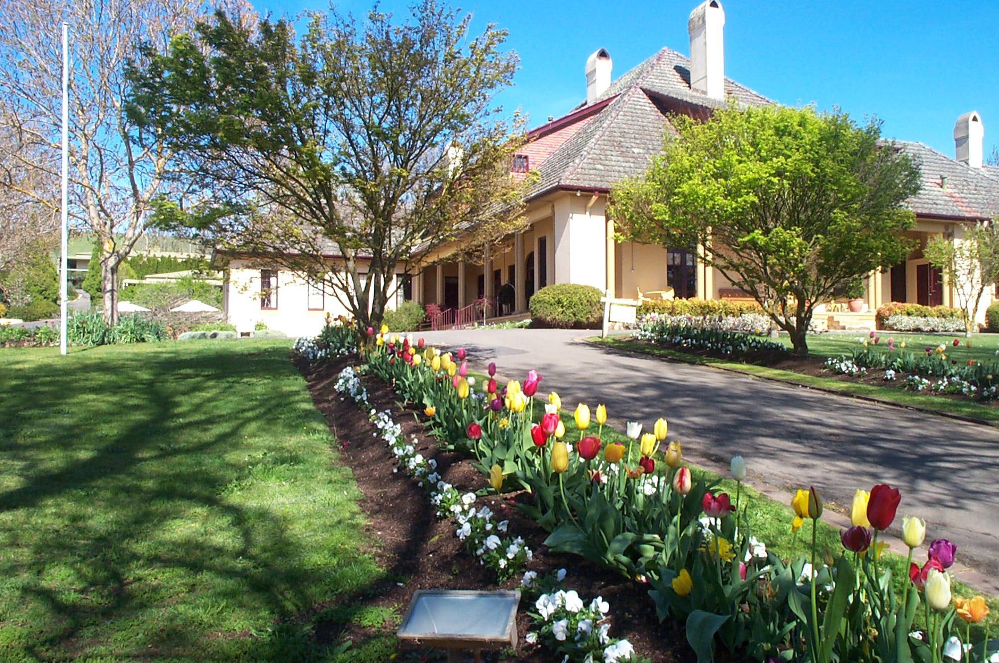 tulips, house, manor, grass, animals, trees, 1080P, HD Wallpaper