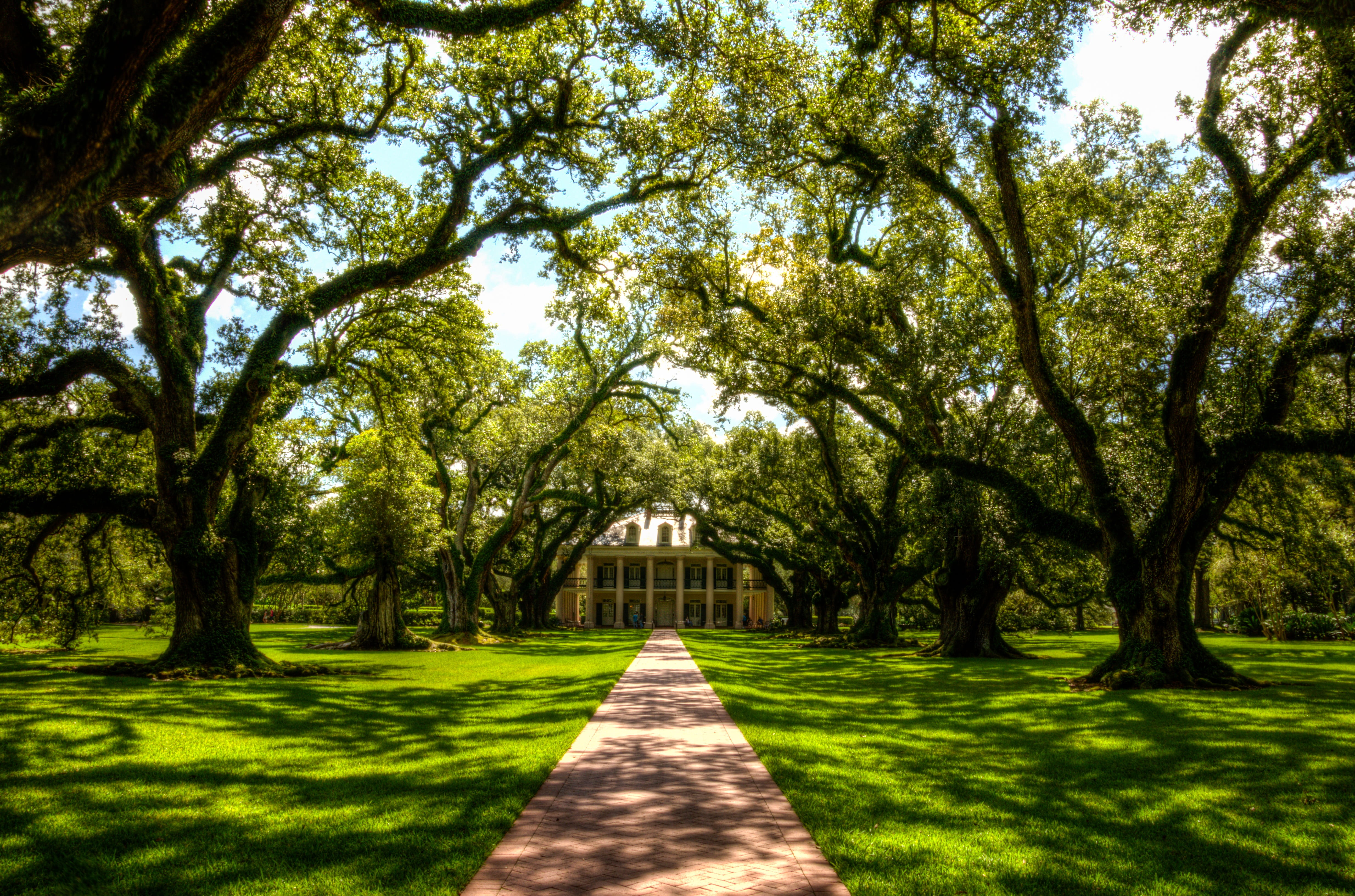 slavery, tranquil scene, louisiana, slaves, green color, brown, plant, america, diminishing perspective, villa, no people, oak alley plantation, green, HD Wallpaper
