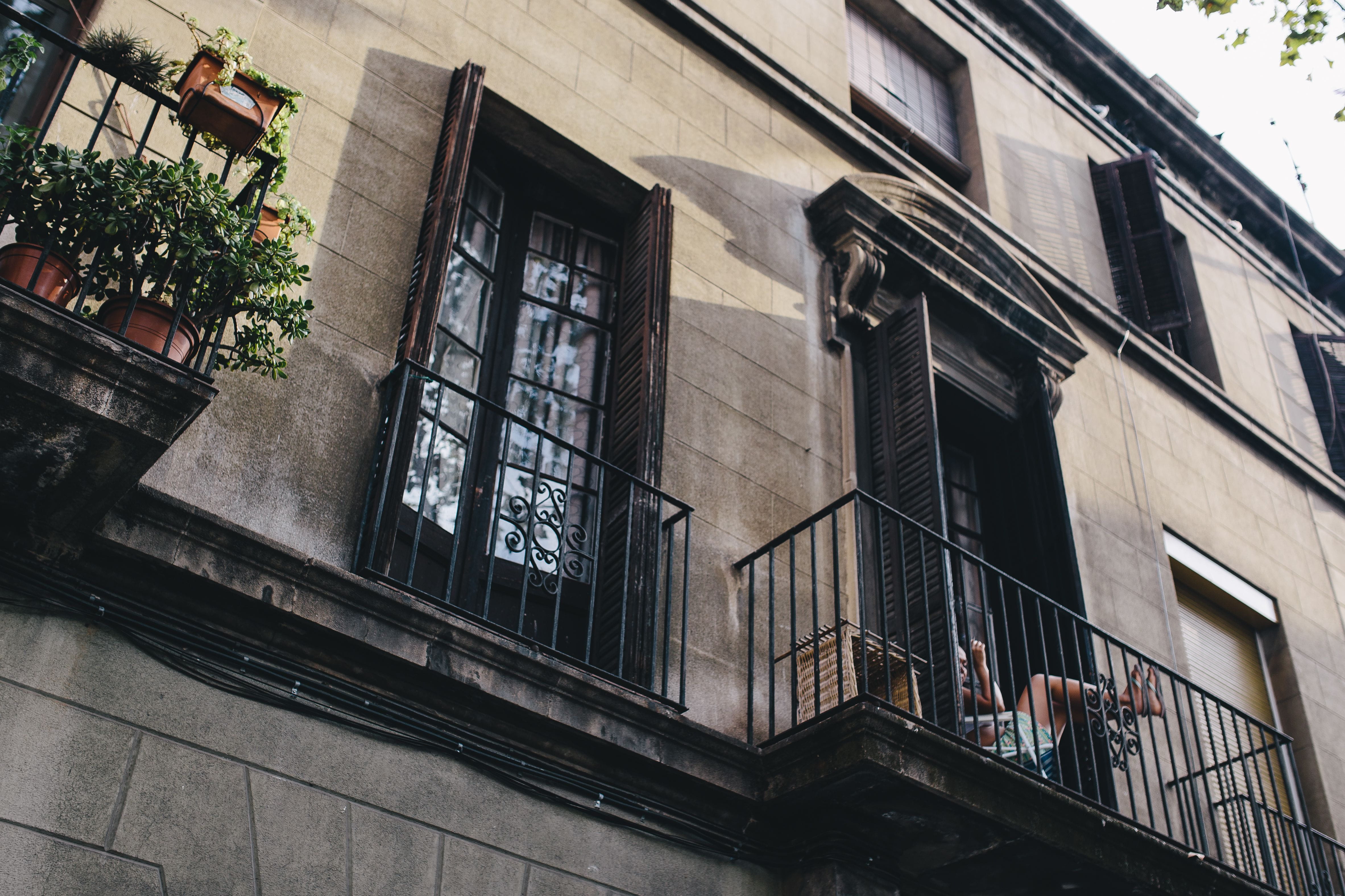 window, tree, facade, house, building exterior, railing, townhouses, outdoors, apartment, plant, location, architecture, residential district, potted plant, HD Wallpaper