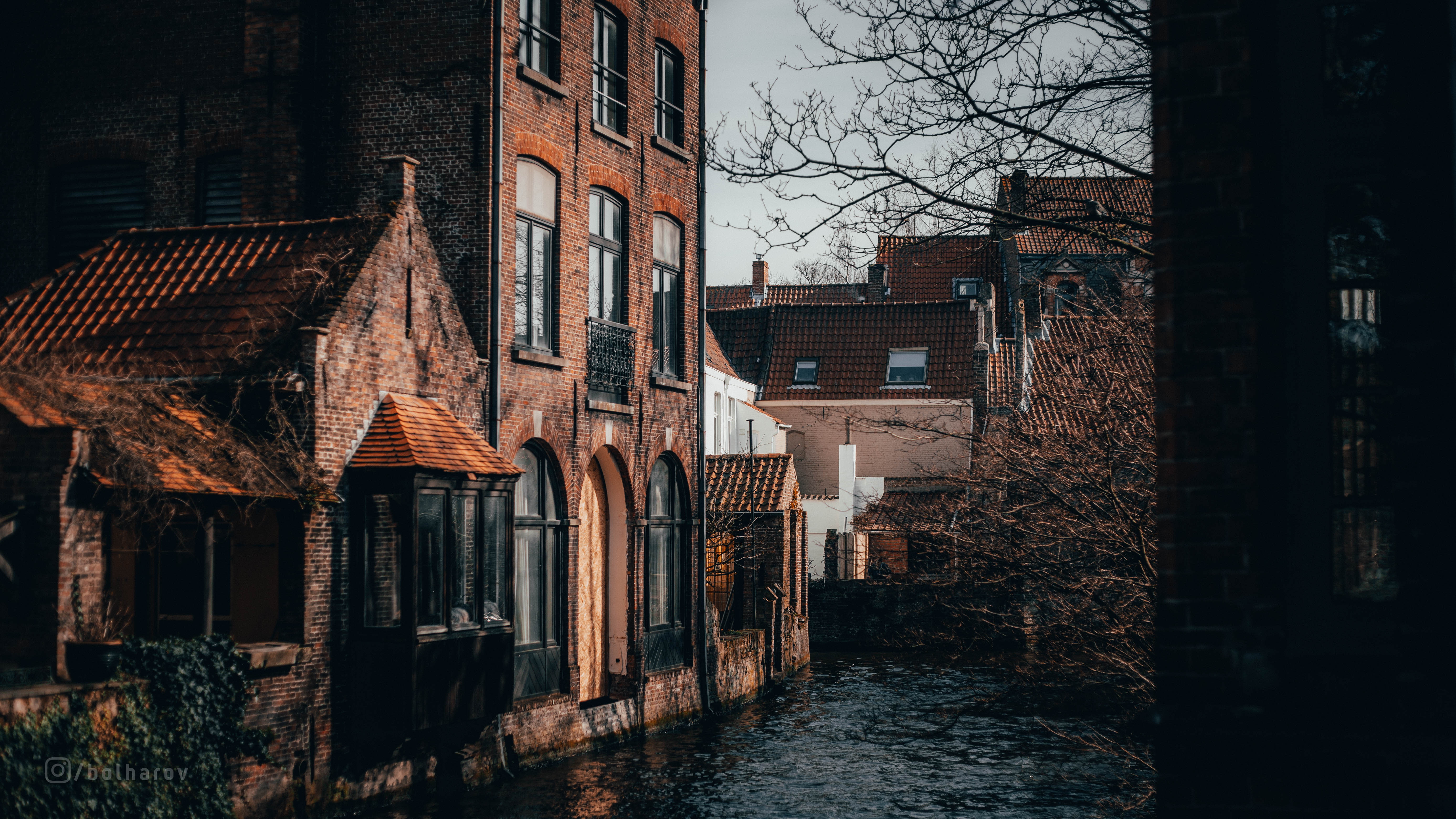 house, residential district, no people, old, architecture, outdoors, building exterior, Bruges, abandoned, tree, nature, bare tree, waterfront, city, built structure, HD Wallpaper