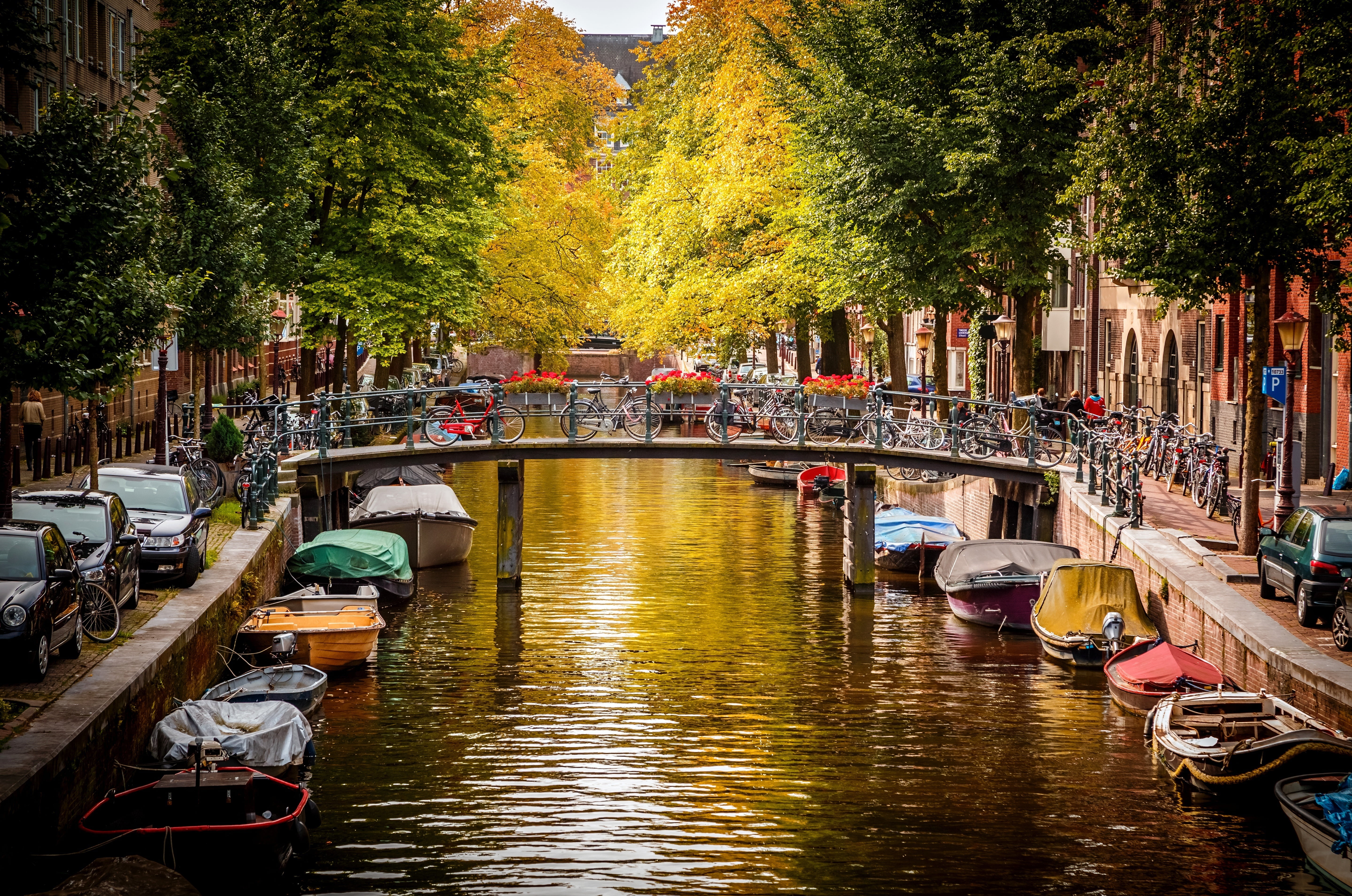 Nederland, cultures, europe, nautical Vessel, history, famous Place, river, concrete, autumn, street, Netherlands, architecture, travel, day, nature, Amsterdam, HD Wallpaper