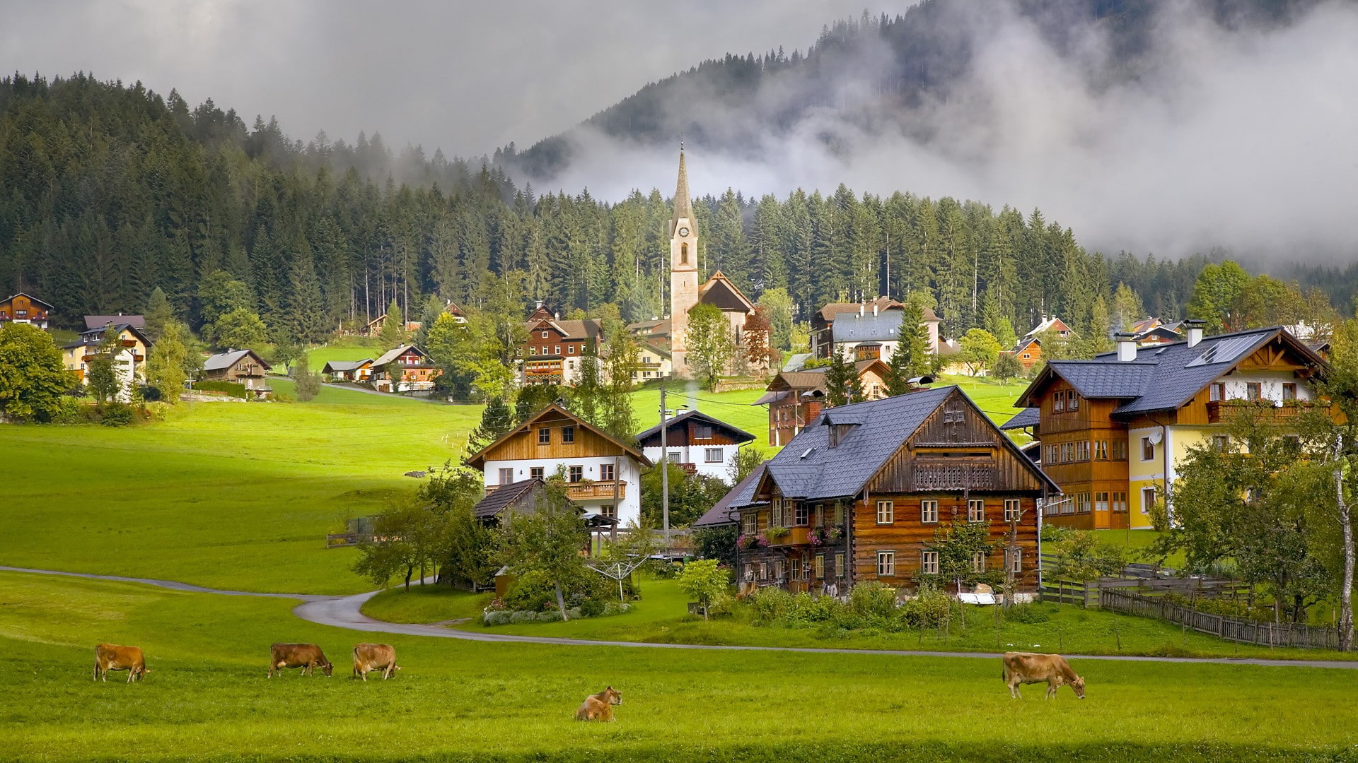 nature, Austria, mist, wood, villages, road, church, town, forest, architecture, building, animals, grass, cow, trees, 1080P, house, HD Wallpaper