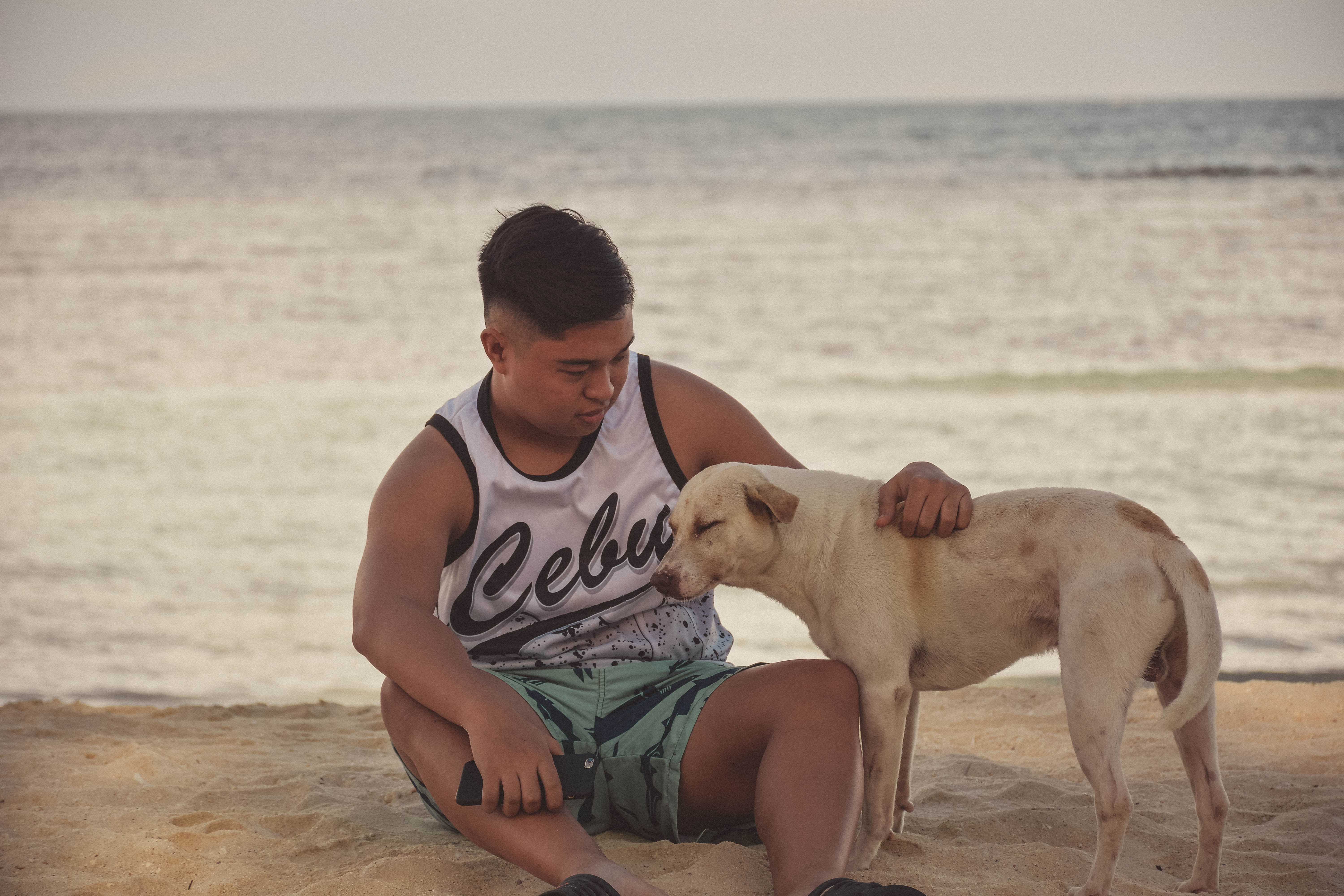one animal, dog, domestic, smiling, one person, teenager, sea, boxer, beach, white, shorts, domestic animals, canine, person, apparel, back, labrador retriever, HD Wallpaper