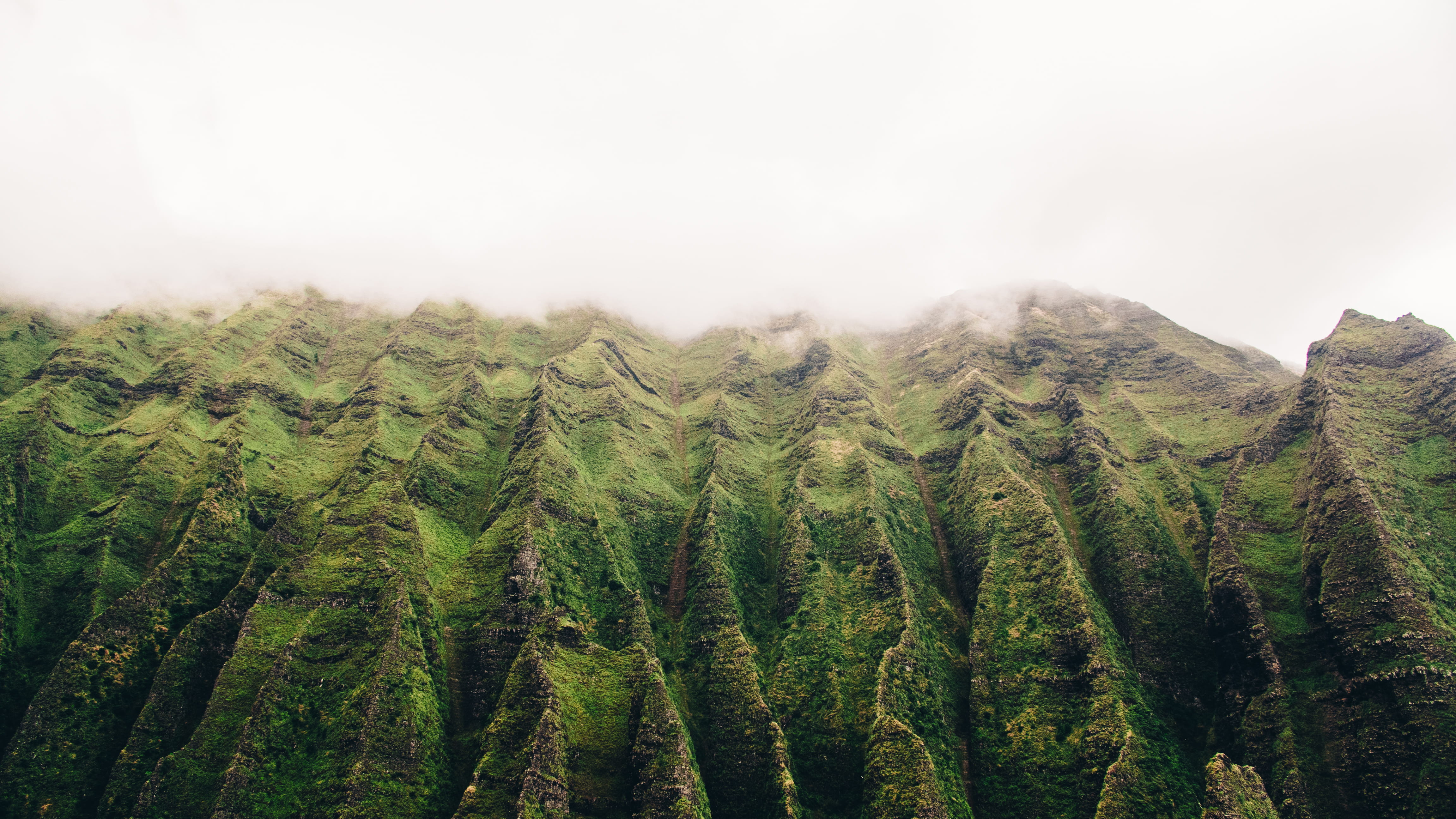 field, mountaing, mist, plant, tree, nature, 4K, mountain, curved, forest, plantation, landscape, clouds, fog, kauai, no people, tropical, green color, HD Wallpaper