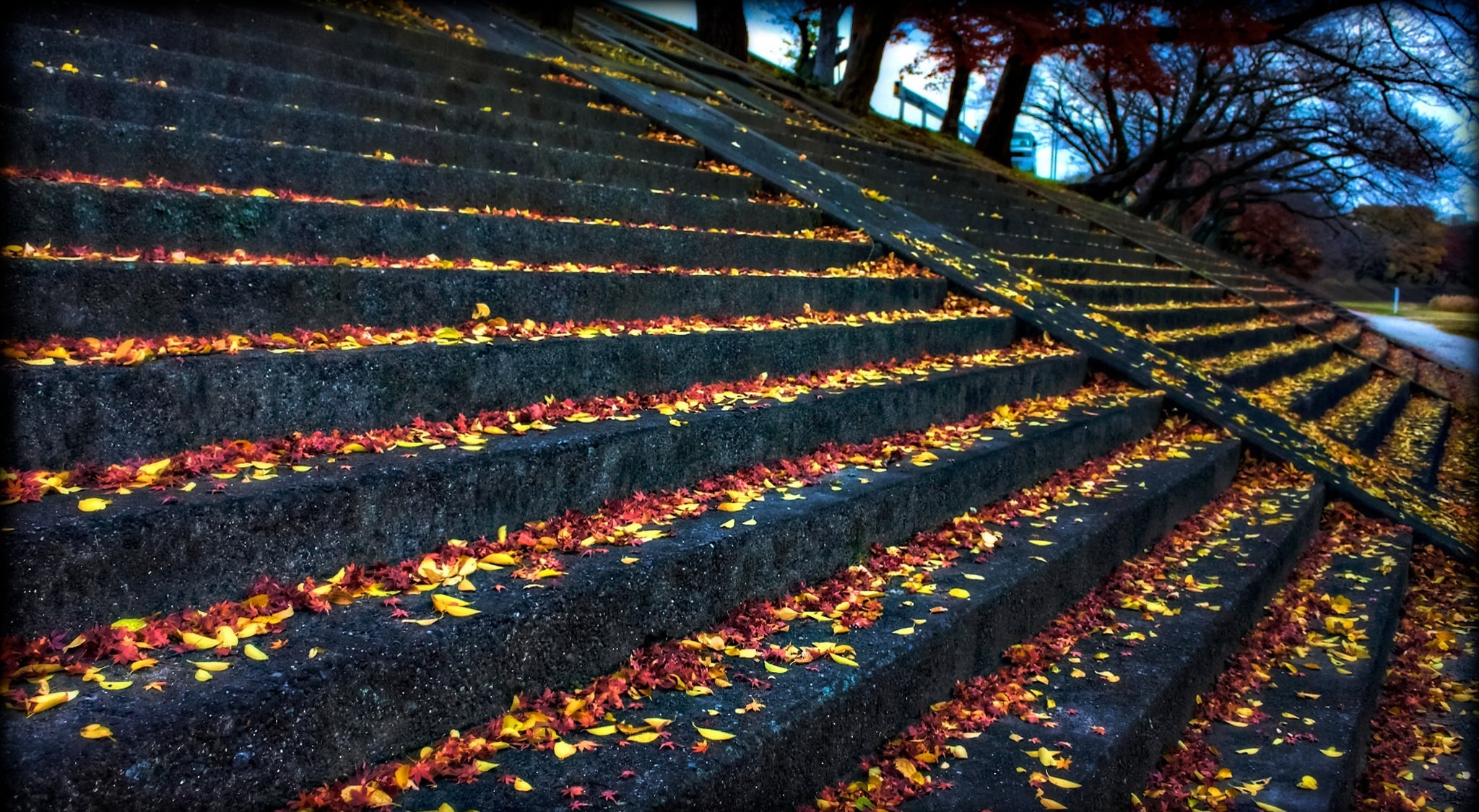 gray, growth, rural scene, tranquility, day, leaves, plant, Chubu, outdoors, stairs, Photoshop, beauty in nature, Japanese Maples, plantation, Okazaki City, HD Wallpaper