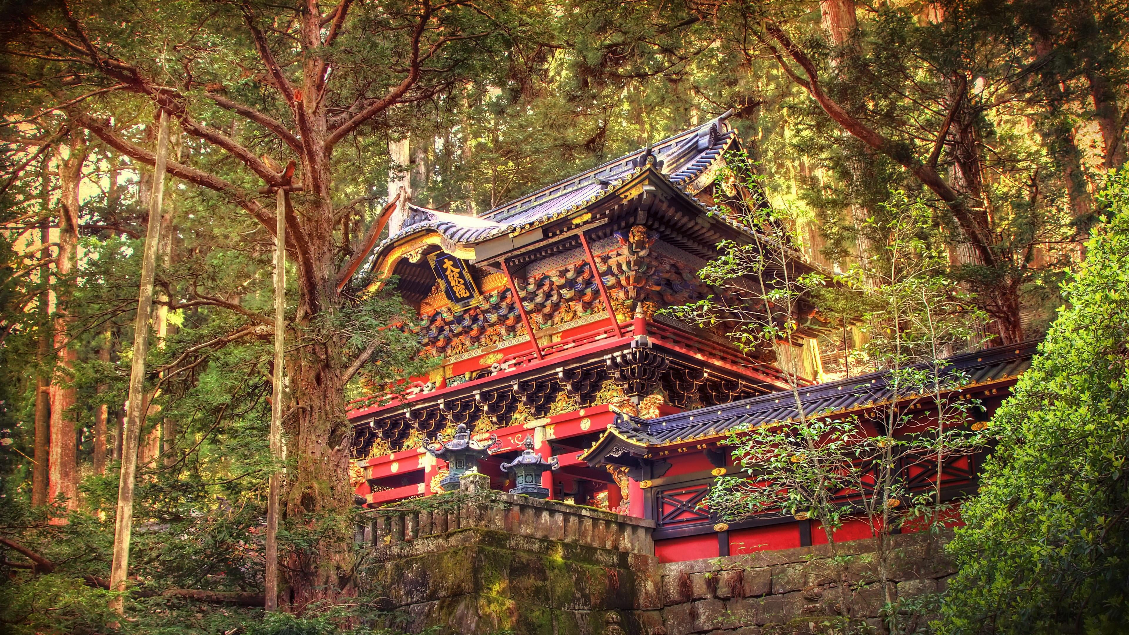 nikko national park, low angle view, no people, architecture, eaves, built structure, growth, building, spirituality, world heritage, plant, 4K, japan, HD Wallpaper