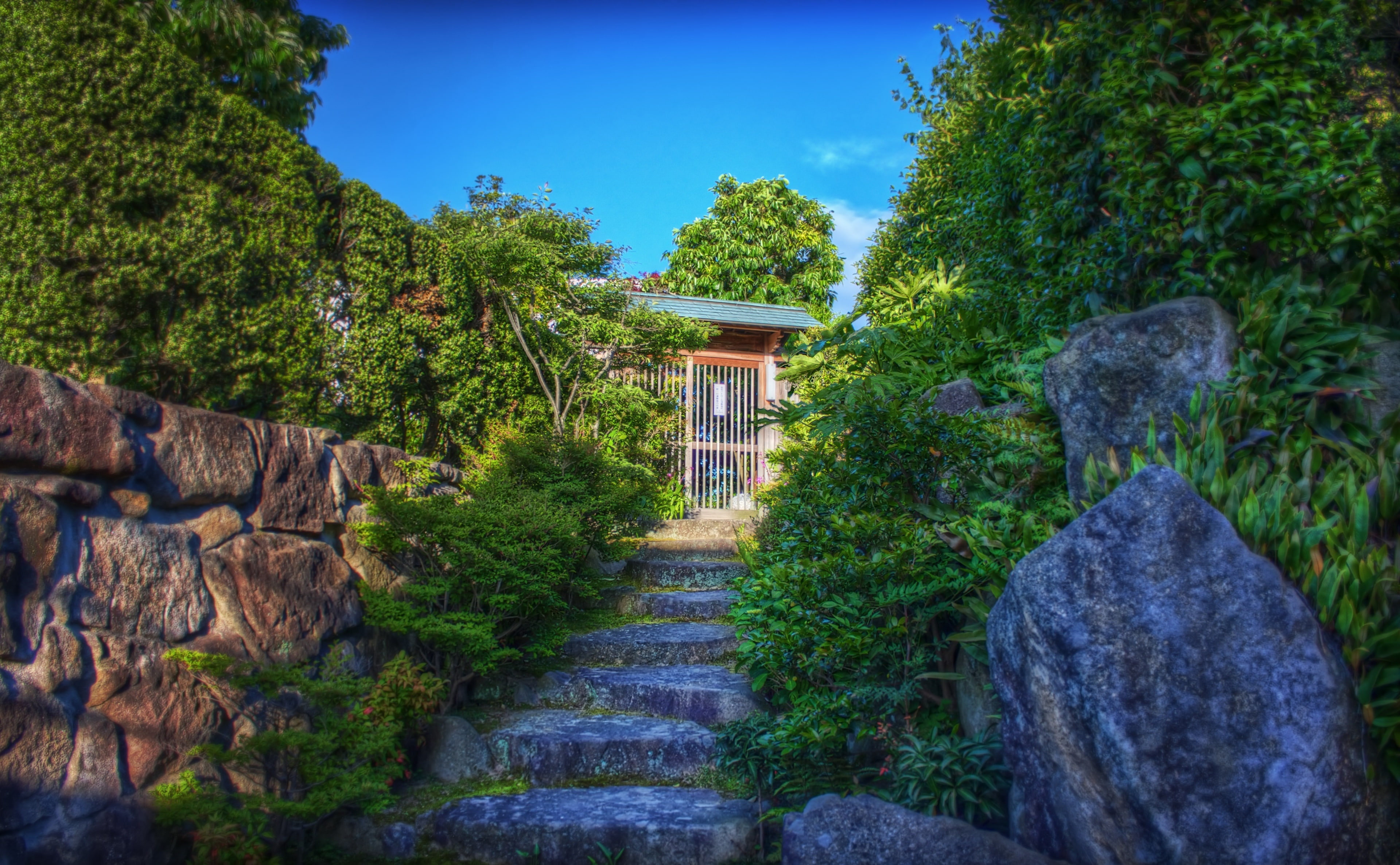rock - object, growth, staircase, Photomatix Pro, Photoshop, direction, Photography, day, tree, plant, plants, house, rock, nature, outdoors, Honshu, solid, HD Wallpaper