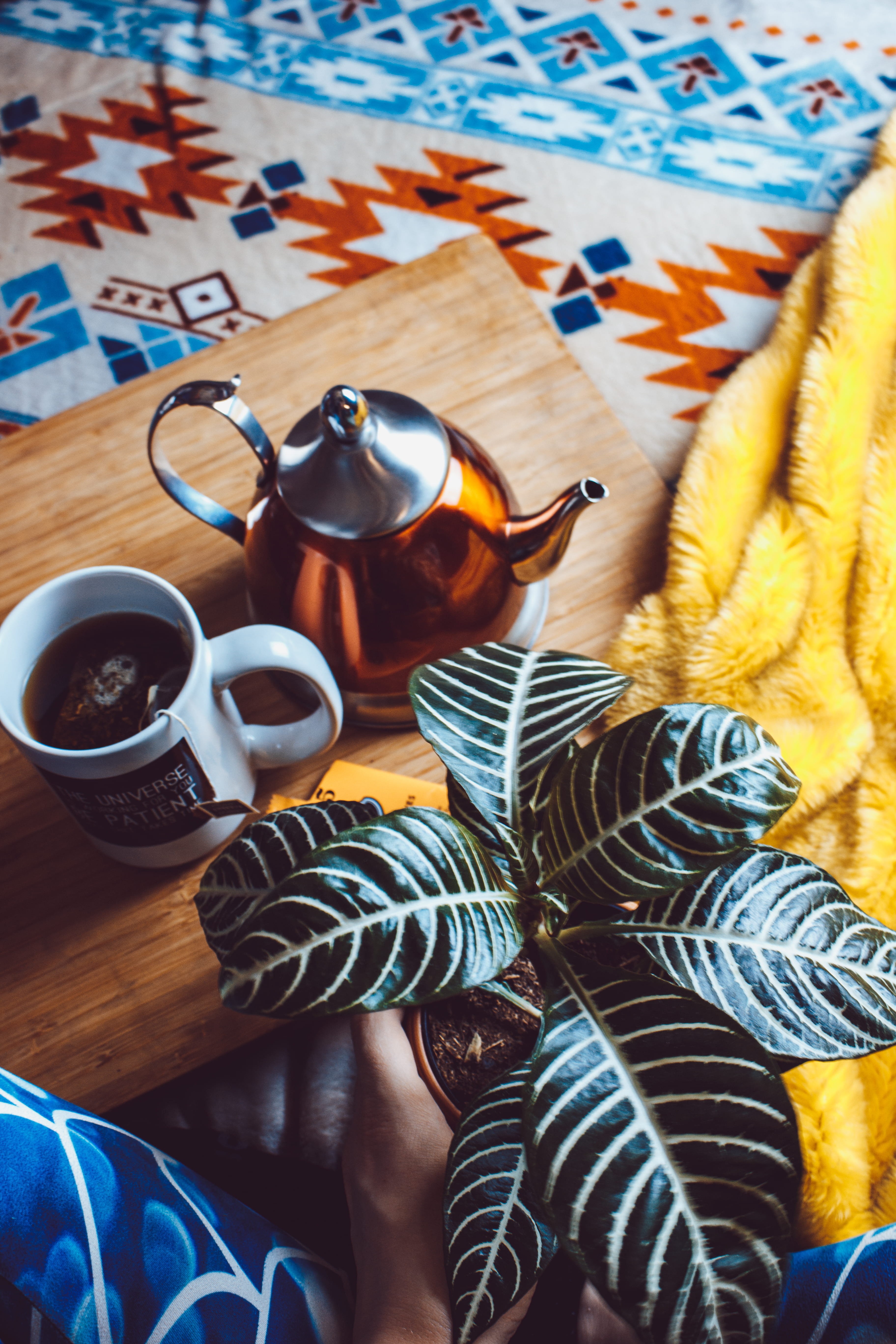 coffee, plant, table, food and drink, tea cup, still life, glass, drink, 5K, near, coffee - drink, real people, hot drink, lifestyles, high angle view, Phone HD Wallpaper