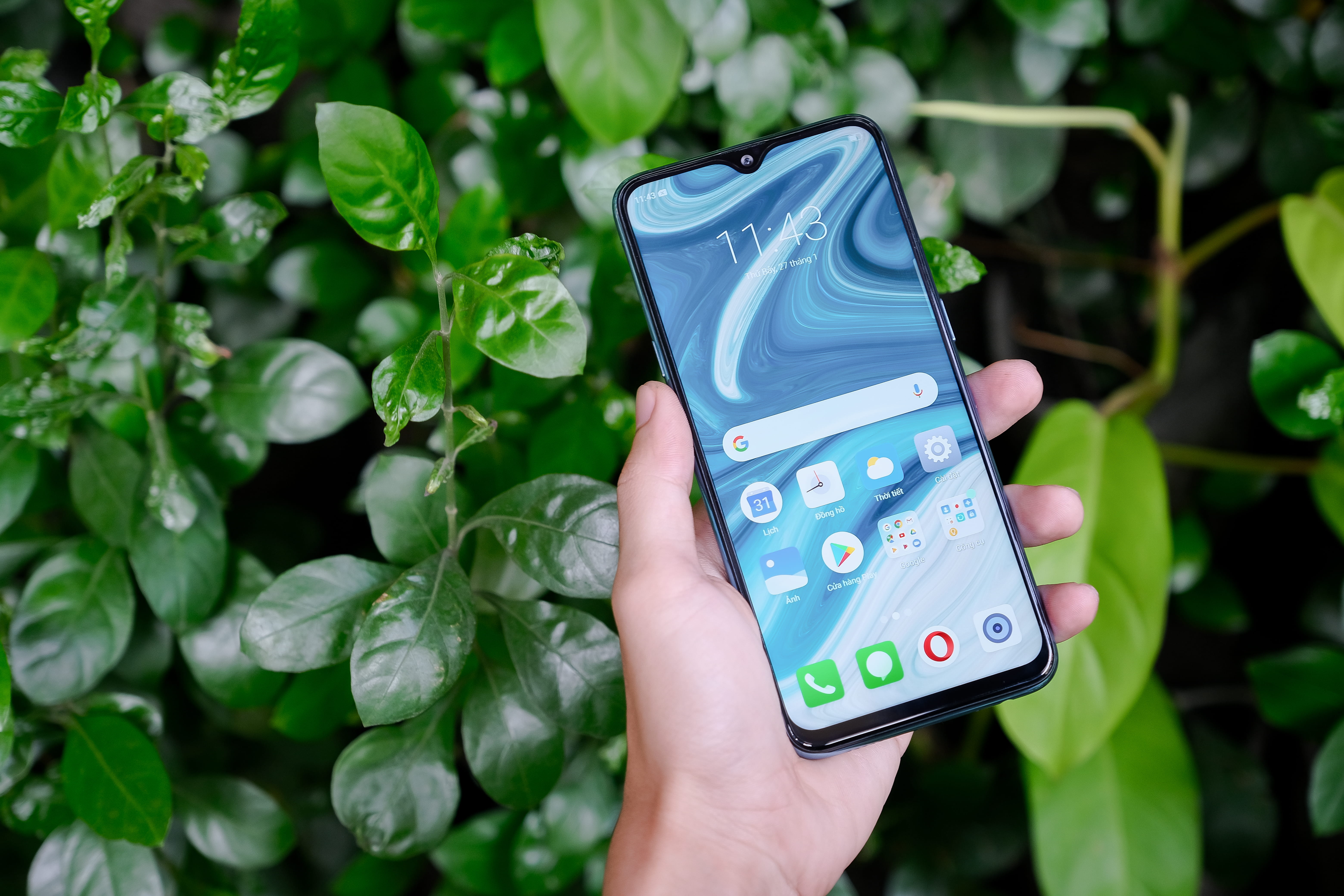 real people, connection, focus on foreground, wireless technology, day, smart phone, food, 5K, phone, pea, bottle, human hand, computer, holding, lifestyles, HD Wallpaper