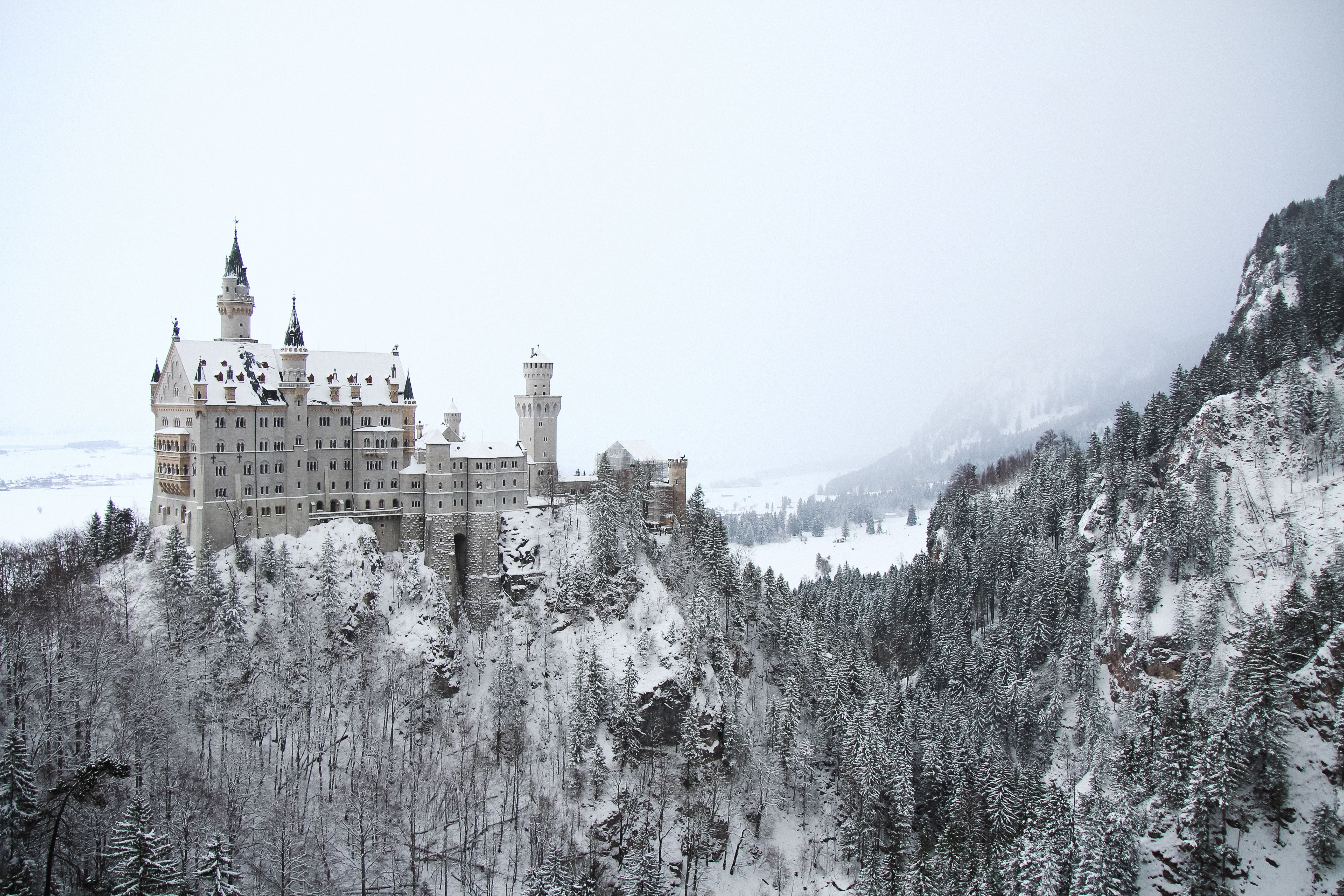 travel destinations, plant, winter, building, snow, beauty in nature, extreme weather, castle, snowcapped mountain, city, view, 5K, trees, sky, black and white, HD Wallpaper
