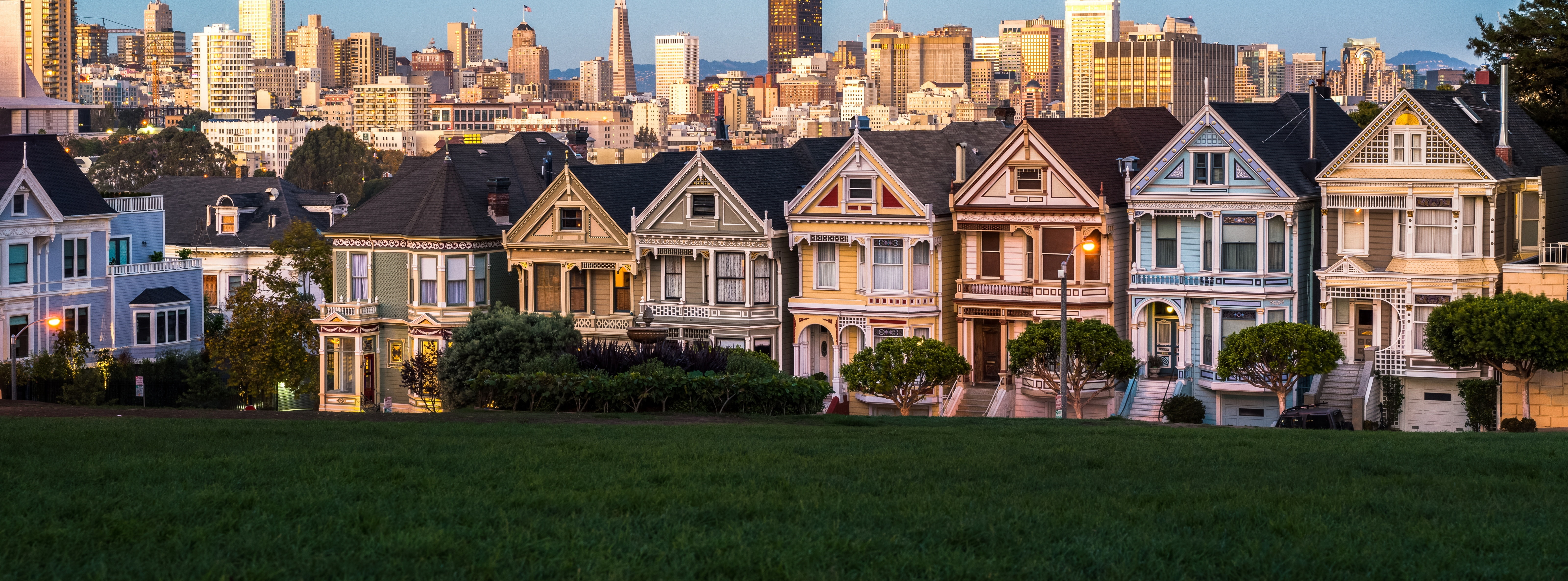 sanfranciscobay, community, Tourist, paintedlady, painted, home ownership, Home, City, plant, ladies, residential district, nature, paintedladies, skyscraper, HD Wallpaper