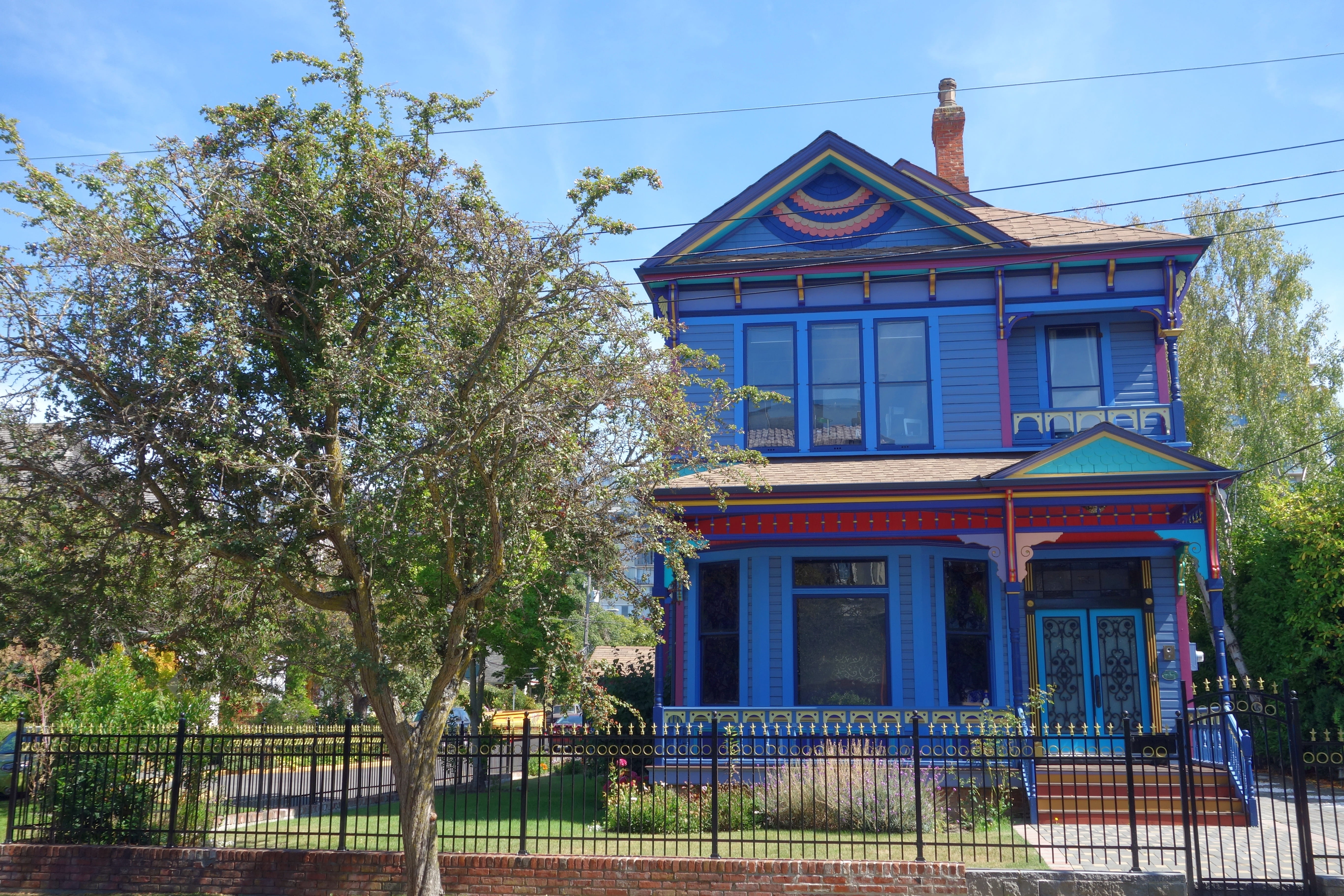 facade, plant, vacation, canada, nature, barrier, day, bright blue, tree, victorian, holiday, fence, residential district, blue, 5K, growth, built structure, HD Wallpaper