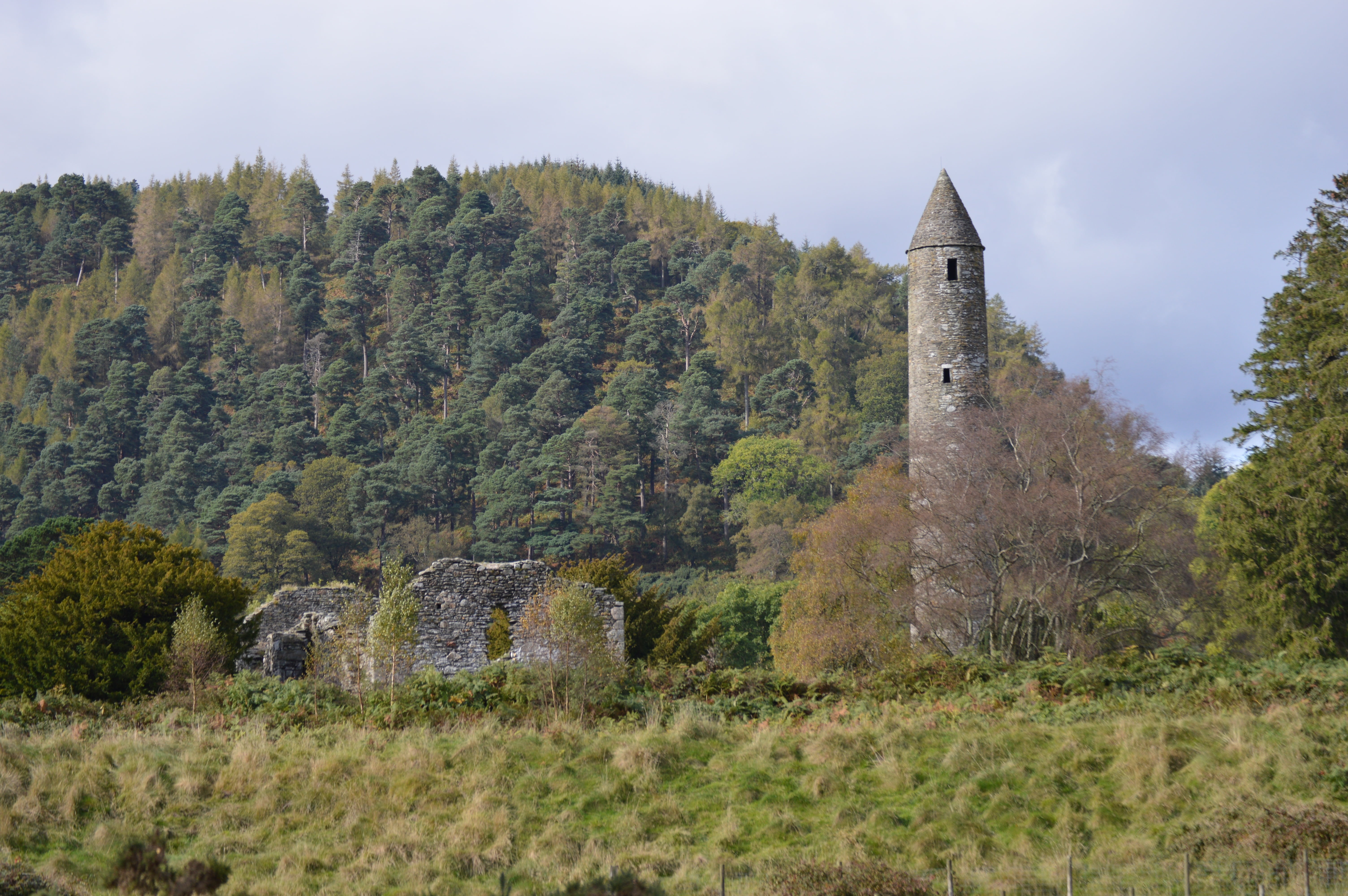 ireland, no people, monastery, day, ruined, county, old ruin, growth, outdoors, building exterior, landscape, plant, nature, tree, history, forest, 5K, HD Wallpaper
