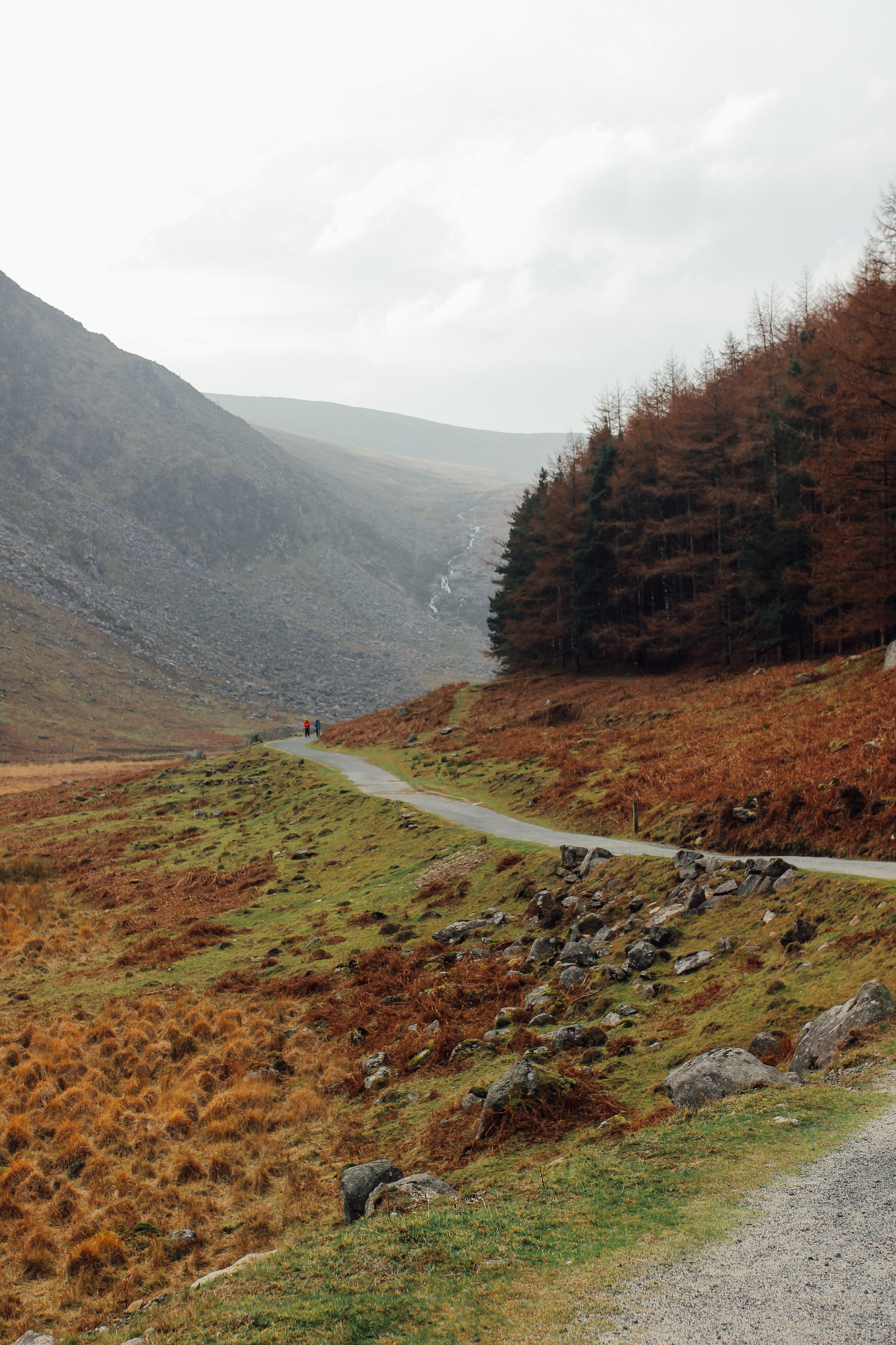mountain, scenery, tree, 5K, tranquil scene, slope, land, day, gravel, non-urban scene, glendalough, no people, road, ireland, abies, environment, walk, Phone HD Wallpaper