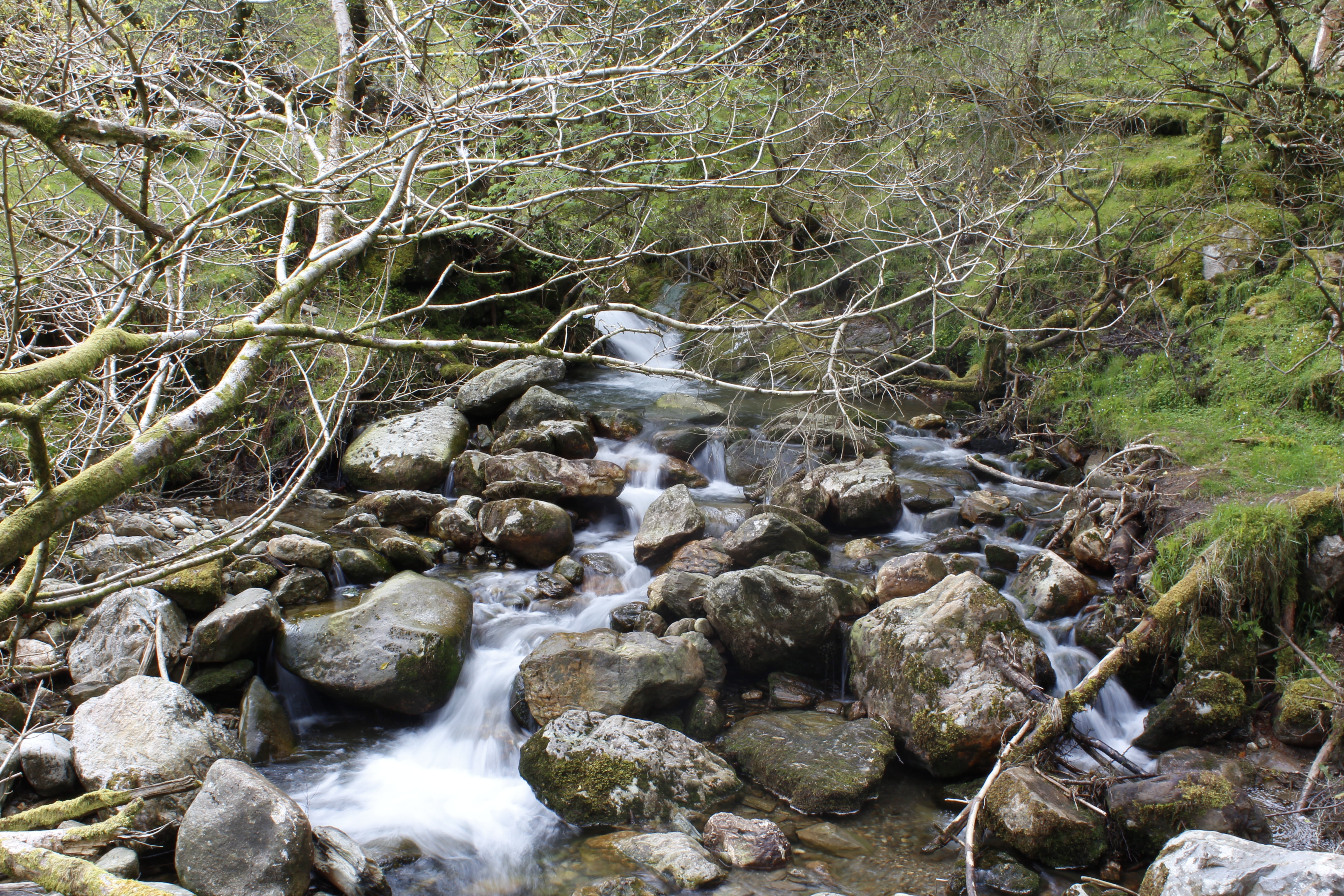 water, rock, beauty in nature, flowing, nature, scenics - nature, green, day, land, long exposure, motion, outdoors, europe, wicklow, 5K, no people, rock - object, HD Wallpaper