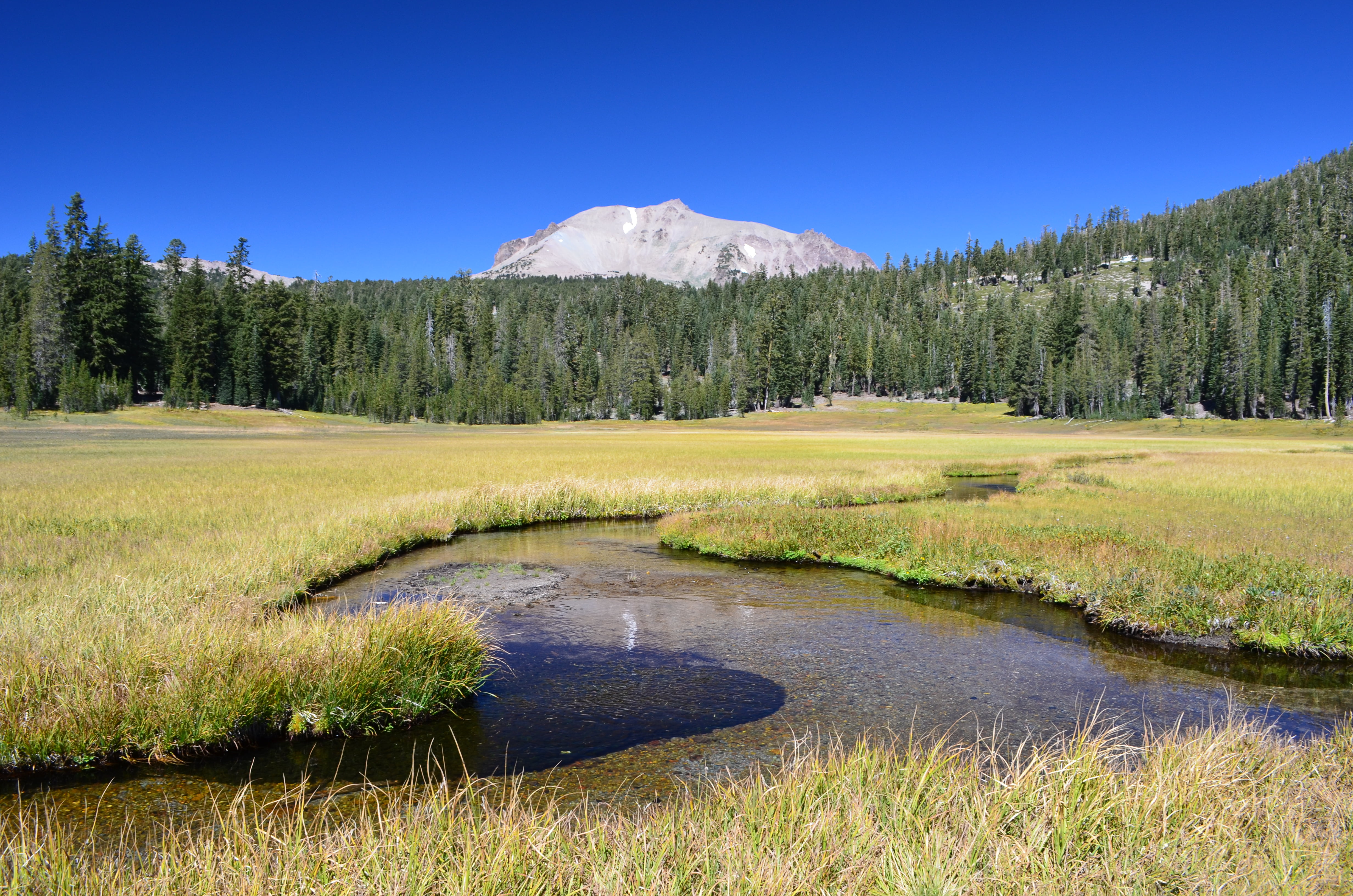 4K, scenics, landscape, Lassen Volcanic National Park, covered, tree, summer, grass, Upper, Kings Creek, water, nature, Lassen Peak, outdoors, forest, HD Wallpaper