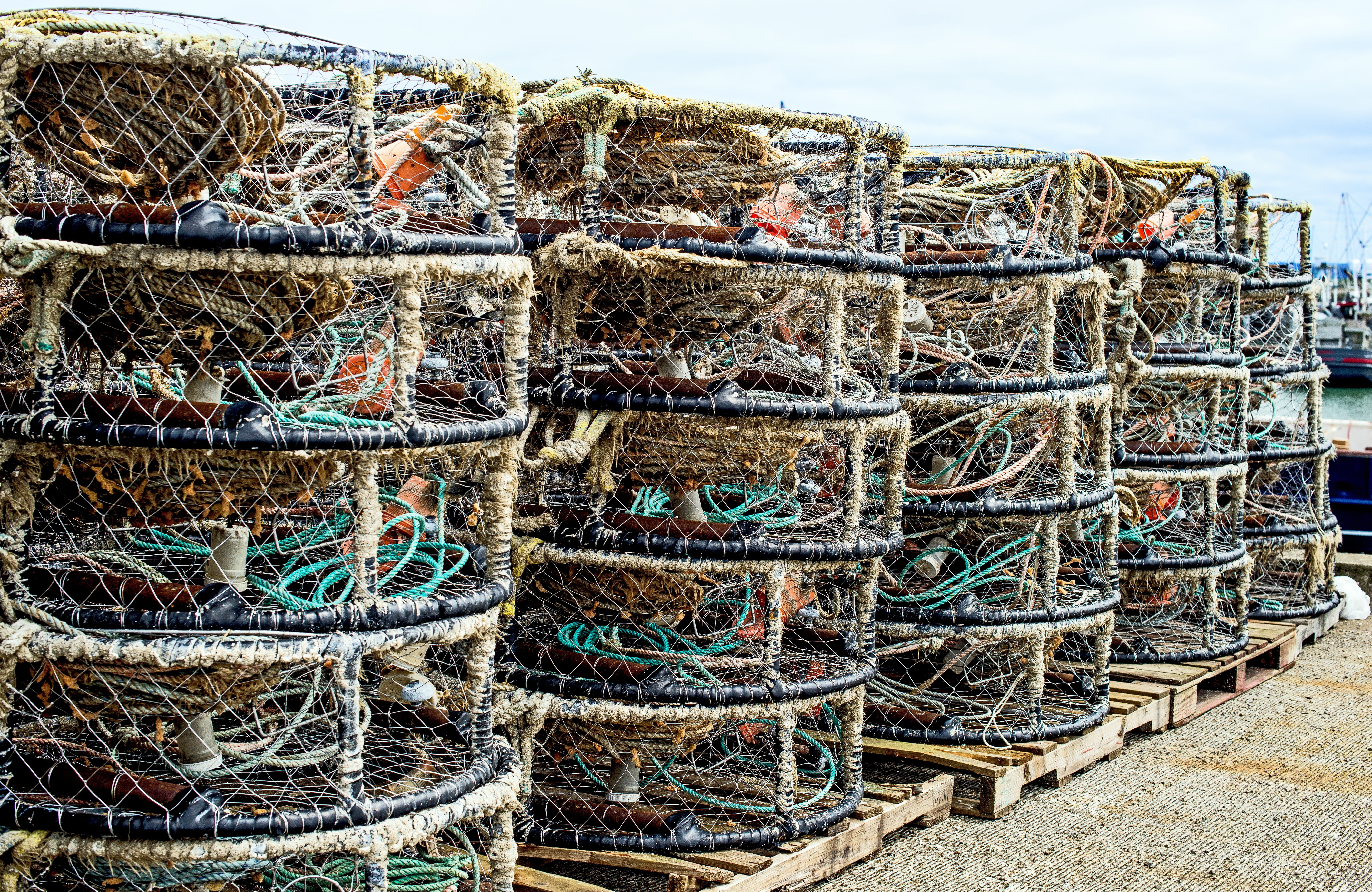 photograph, ocean, sky, marine, day, stack, westport crab pots, frame, puget, maritime, fishing net, crabbing, arrangement, landscape, offshore, fishing, HD Wallpaper