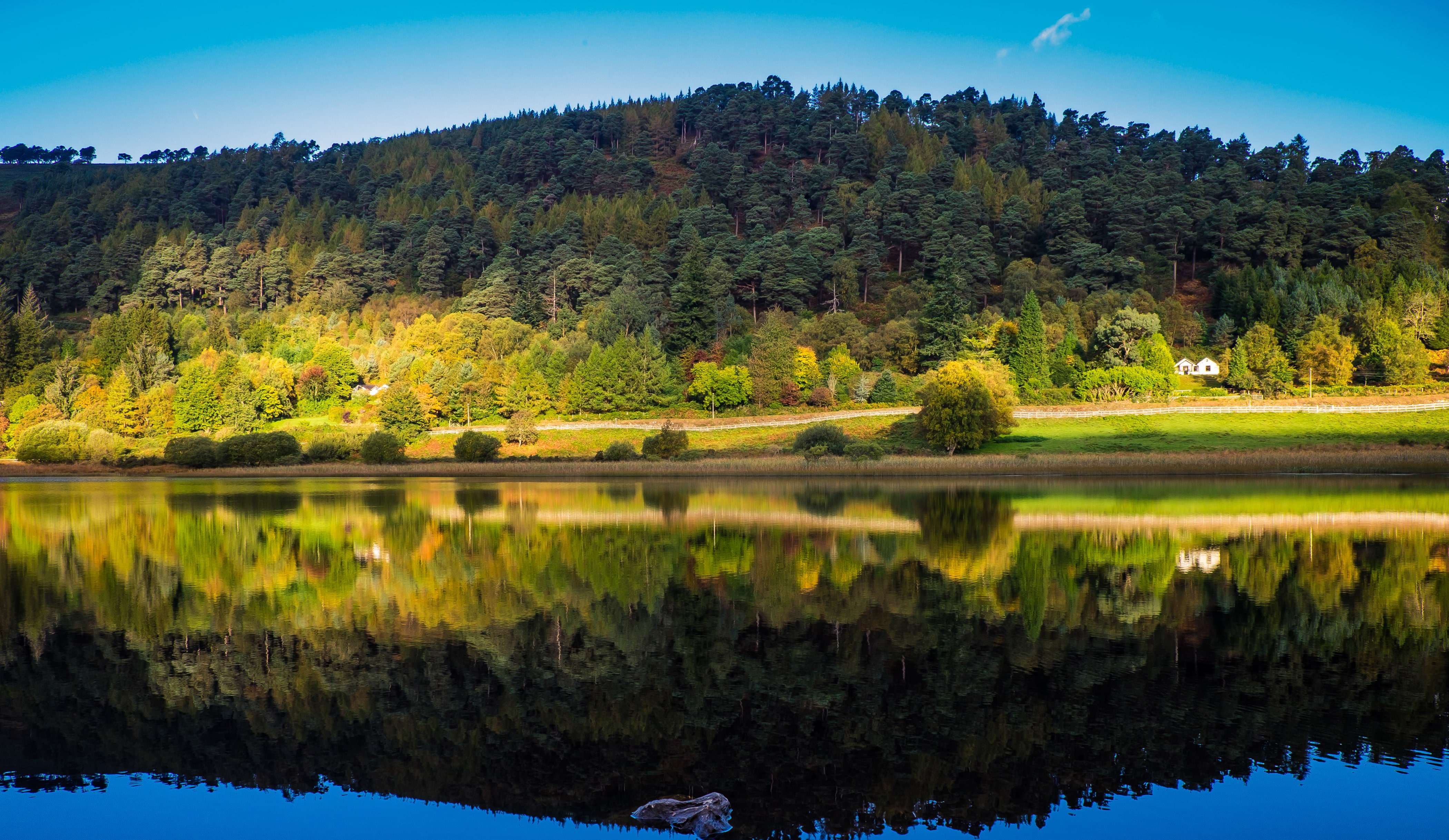 4K, autumn, ireland, reflection, rivers, forests, wicklow, HD Wallpaper
