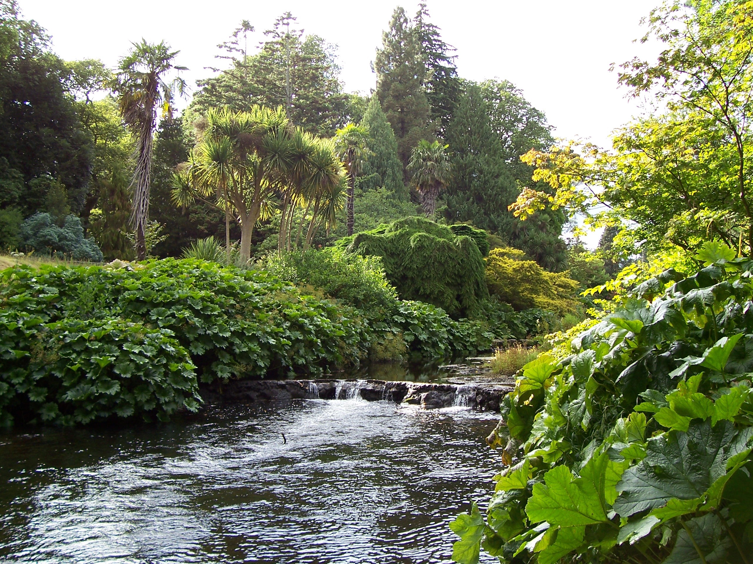 no people, tranquility, scenery, outdoors, motion, 2K, bank, shrubs, beautiful, day, tranquil scene, waterfall, flowing, non-urban scene, sky, growth, HD Wallpaper