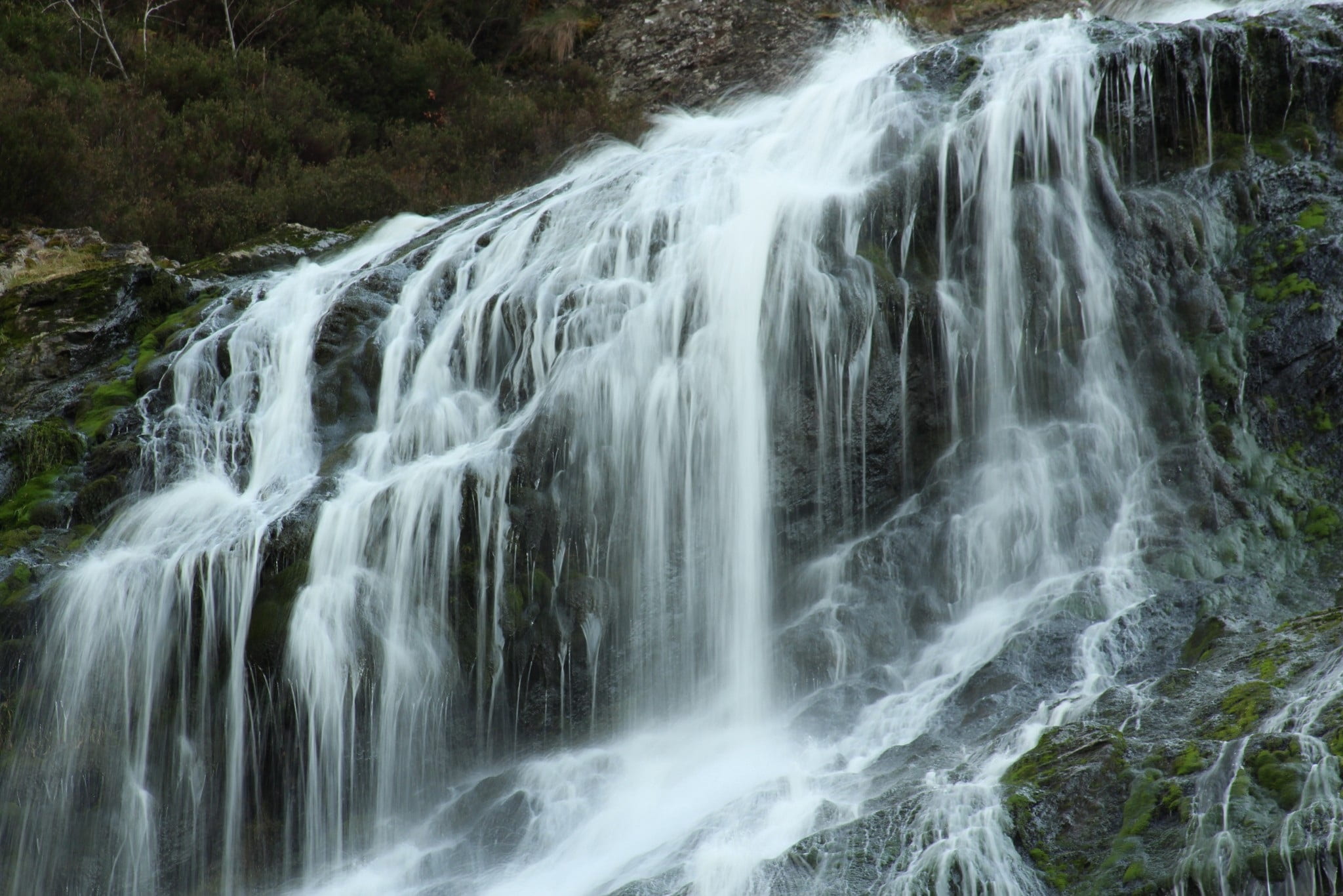 power in nature, rock, tree, water, scenics - nature, eire, powerscourt, river, no people, rock - object, nature, wicklow, county, motion, fall, natural, HD Wallpaper