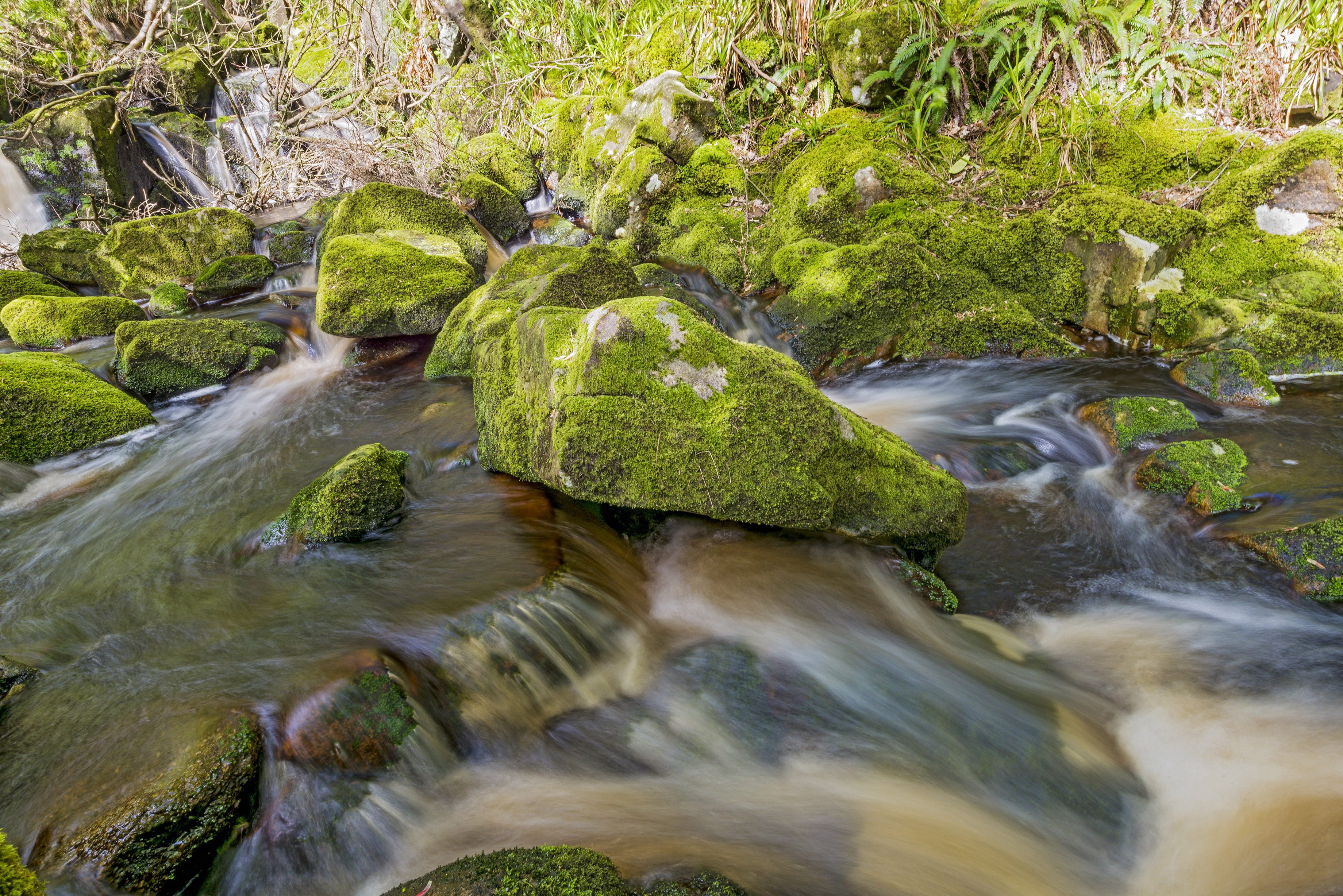 rocks, outdoors, landscape, ireland, green, rock - Object, freshness, Brown river, forest, stream, waterfall, nature, stone, moss, dublin, wicklow mountains, HD Wallpaper
