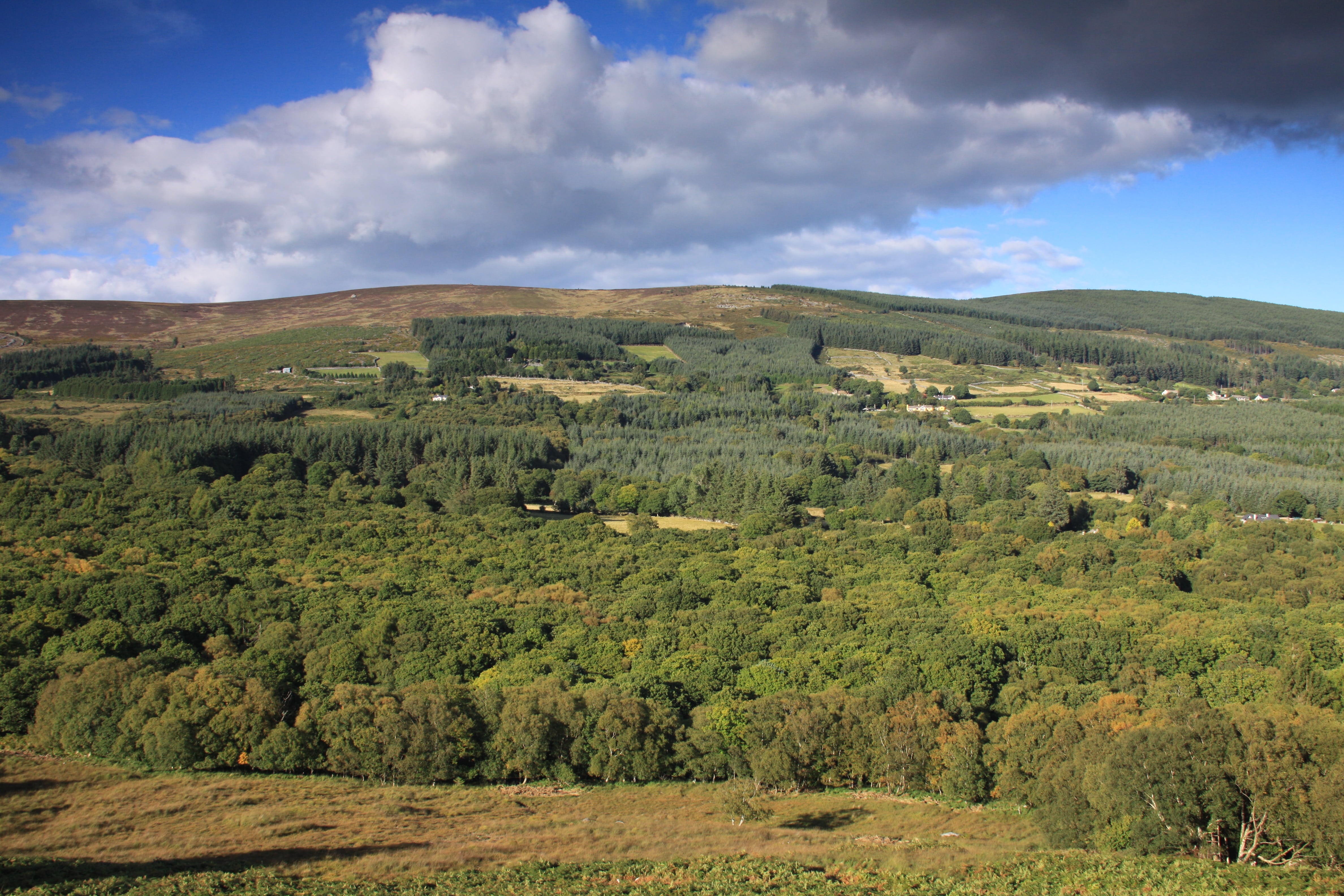 glencree, tranquil scene, plant, tranquility, scenics - nature, remote, no people, mountain, day, green color, sky, field, wicklow, nature ireland, cloud - sky, HD Wallpaper