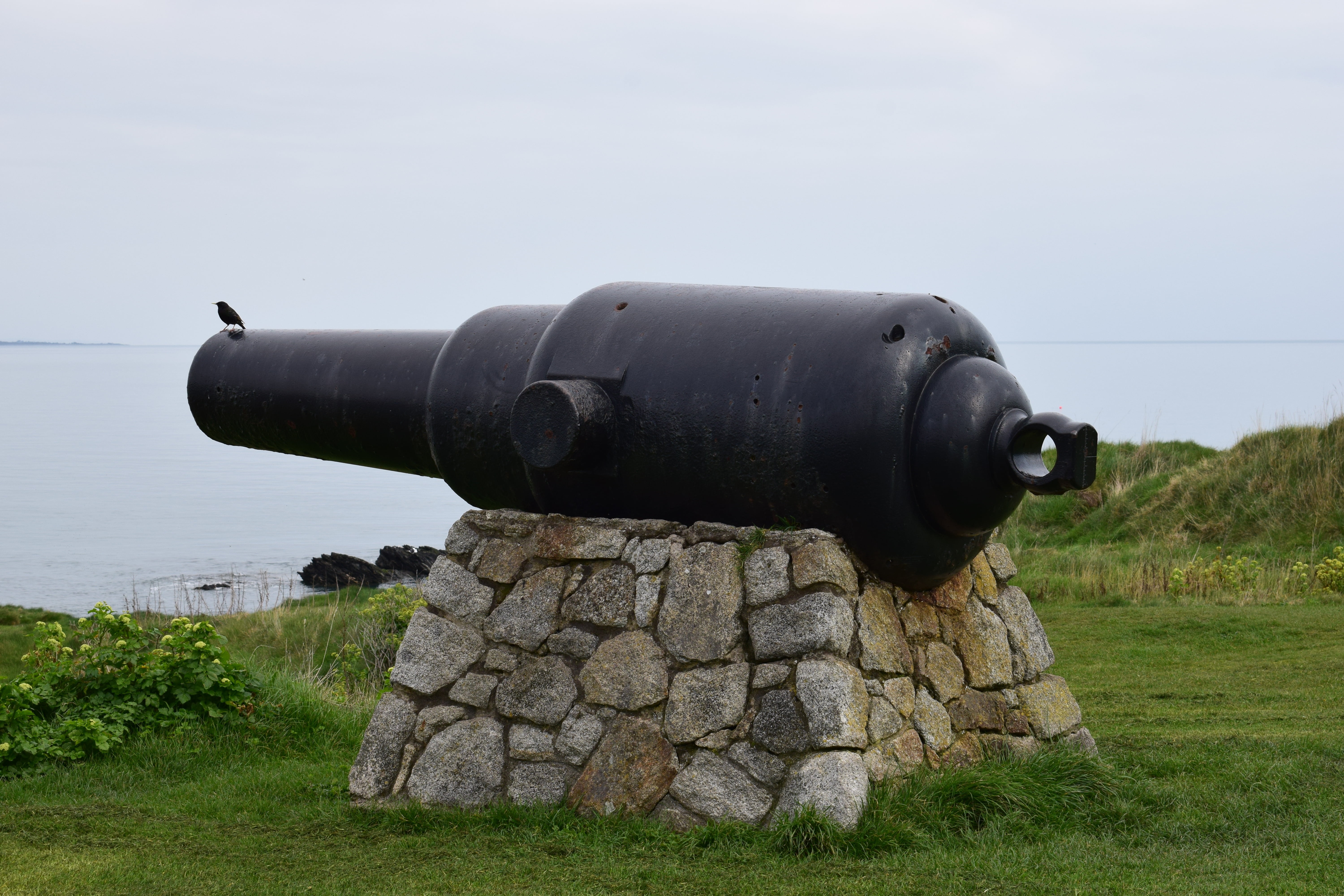 grass, nature, wicklow, ireland, field, cannon, gun, land, outdoors, military, non-urban scene, sky, 5K, architecture, history, no people, day, plant, HD Wallpaper