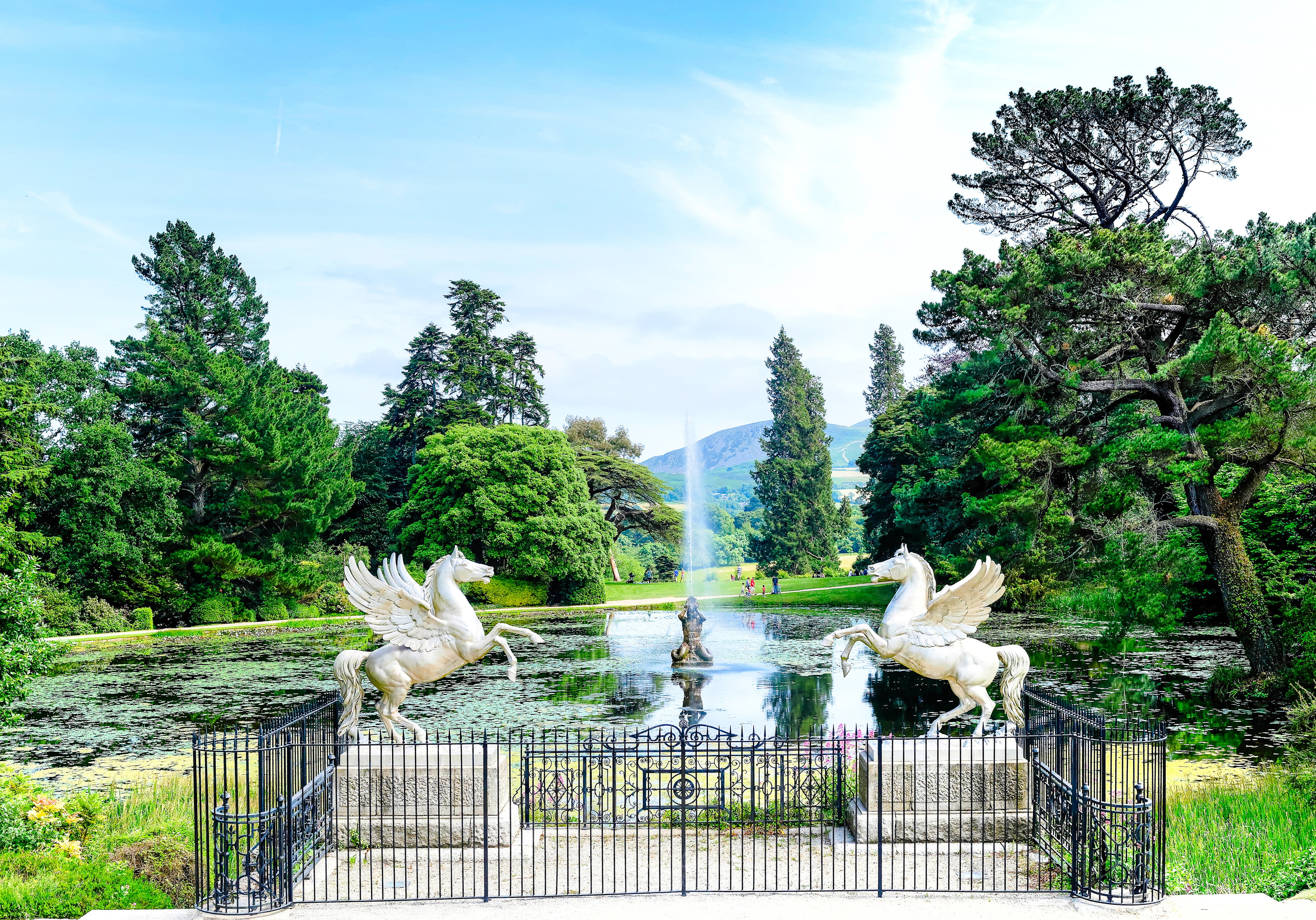 animal wildlife, plant, white, bird, County Wicklow, pond, Ireland, vertebrate, Pegasus, sculpture, horse, Park, beauty in nature, group of animals, barrier, HD Wallpaper