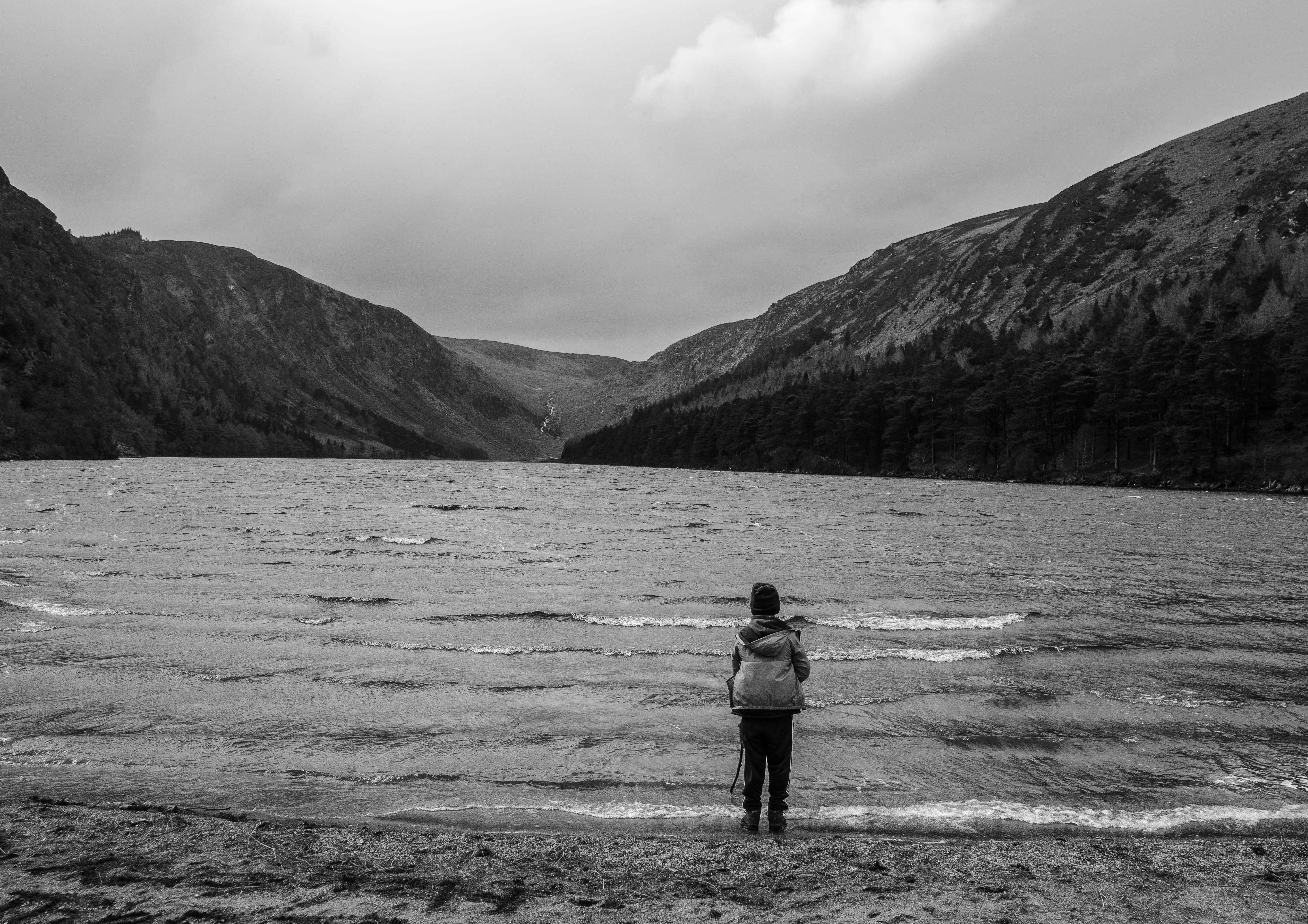 lake, beauty in nature, county wicklow, leisure activity, forest, mountains, rear view, water, cloud - sky, trees, real people, day, sky, nature, scenics - nature, HD Wallpaper