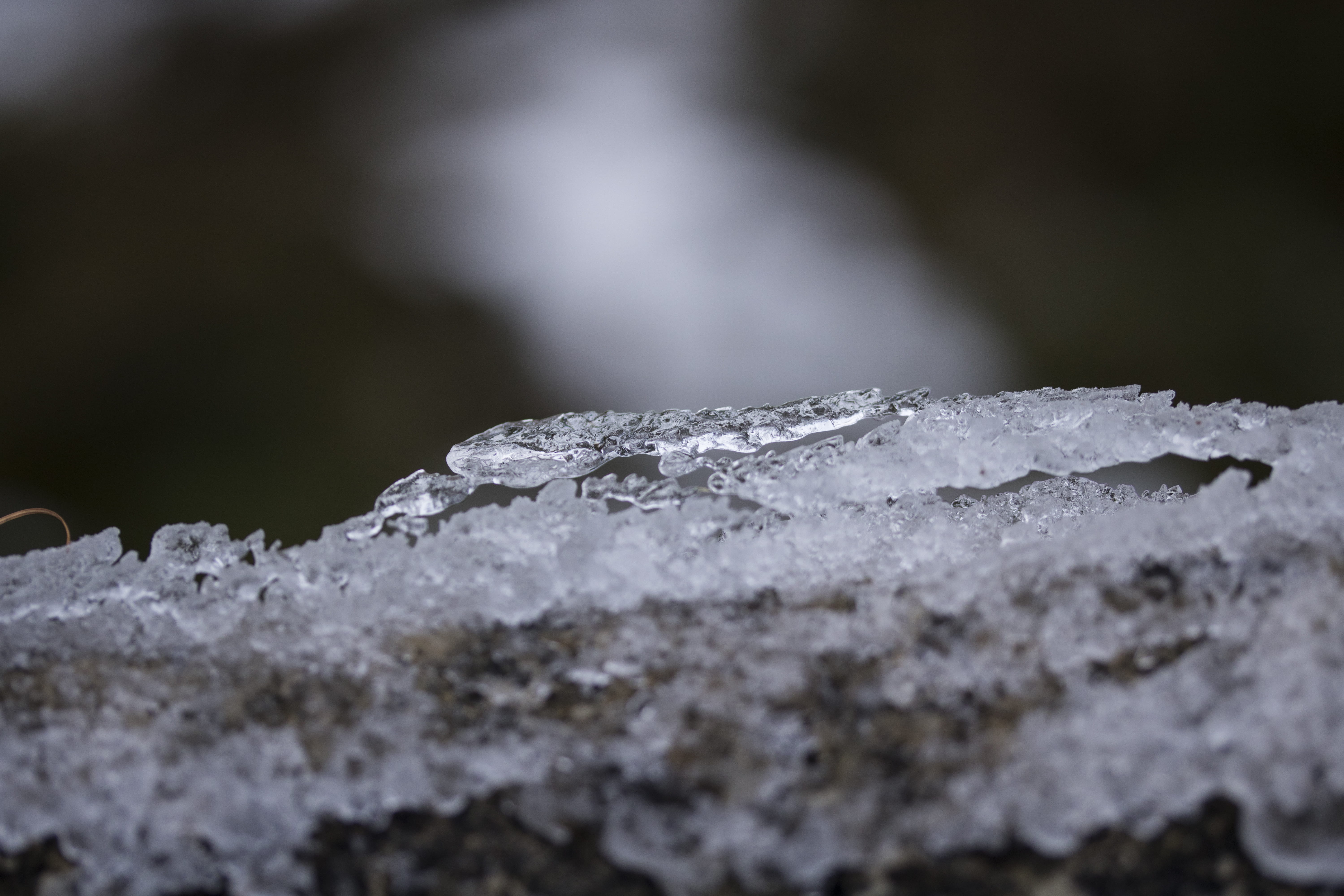 weather, snow, rock, frost, iceberg, solid, 5K, cold temperature, invertebrate, animal, day, no people, droplet, water, hail, vartry lake, crystal, purity, HD Wallpaper