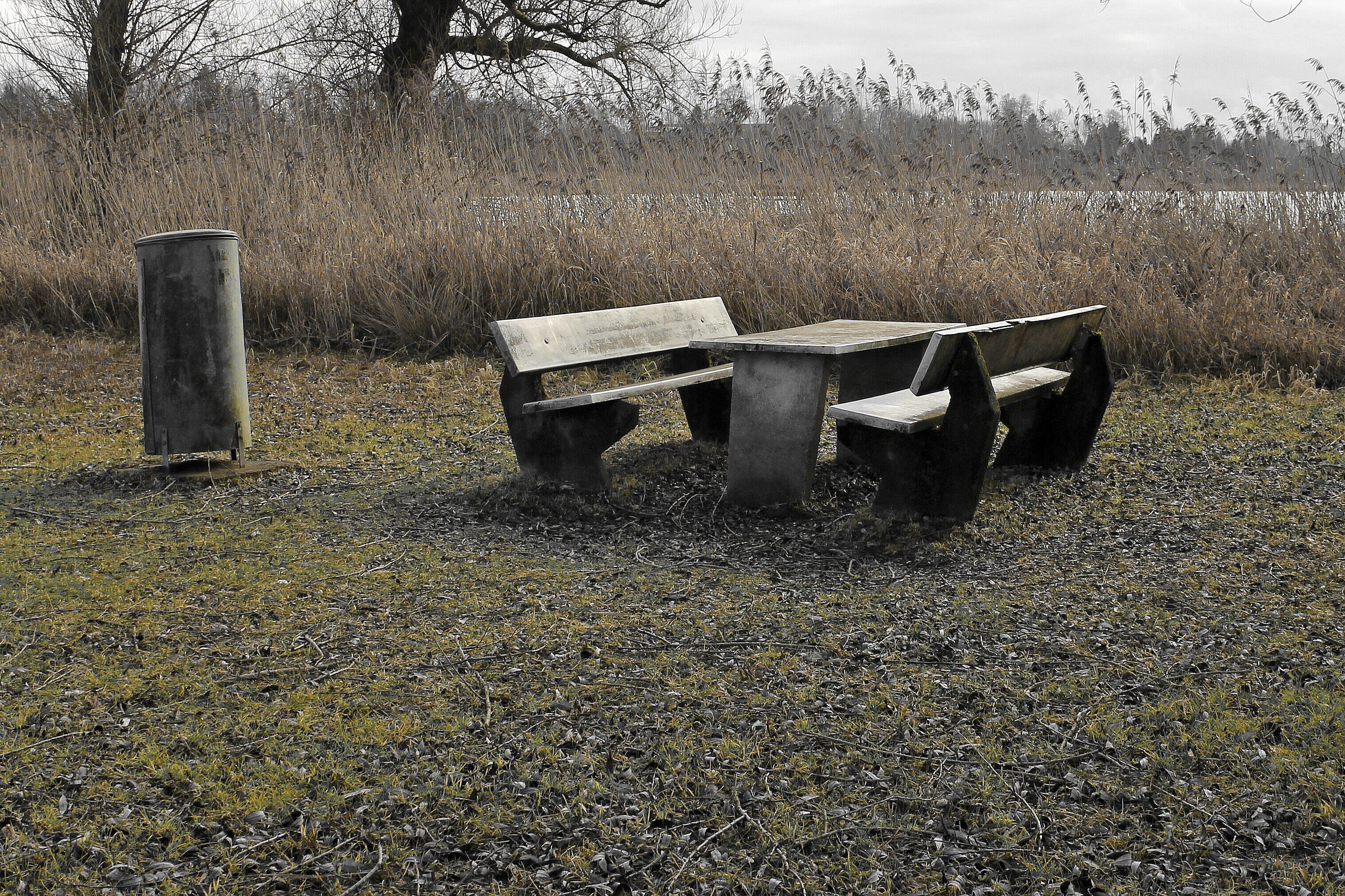 growth, outdoors, tombstone, tranquility, nature, kahl, landscape, grey, seating arrangement, grave, leave, mood, stone, sad, lost, being alone, tree, loneliness, HD Wallpaper