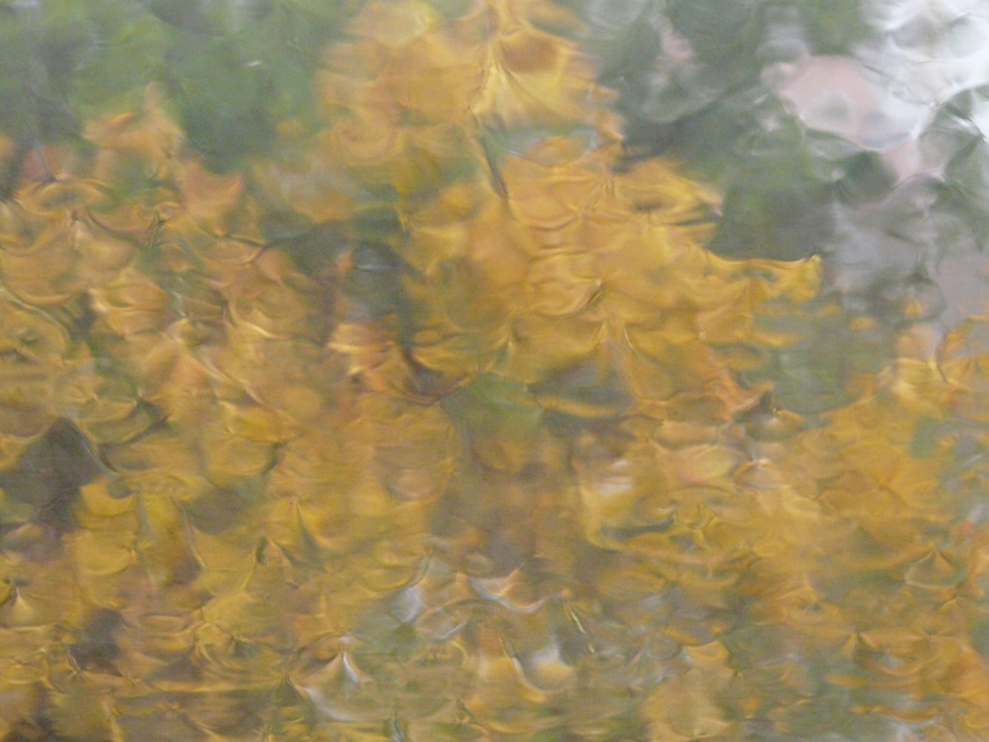 motion, textured, grey, barren, glass, close-up, transparent, nature, outdoors, bad weather, abstract backgrounds, 2K, window, art and craft, reflection, HD Wallpaper