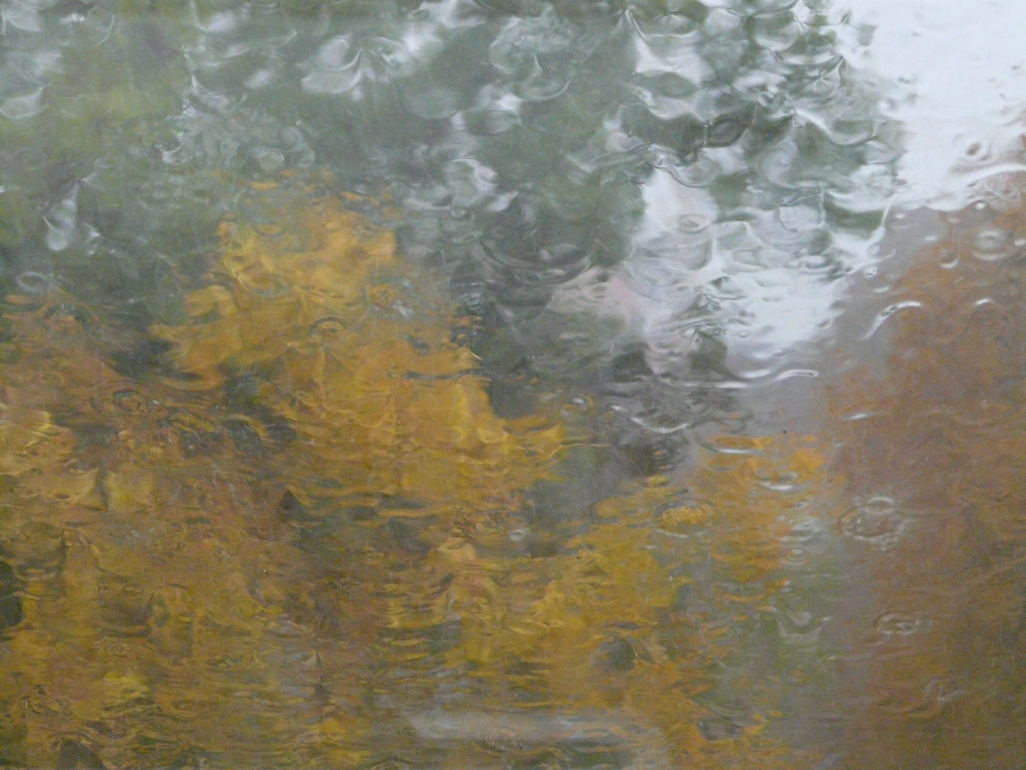 Window, textured, motion, day, no people, nature, Glass, pattern, window, Blurry, bad weather, close-up, lake, backgrounds, abstract, rain, background, HD Wallpaper