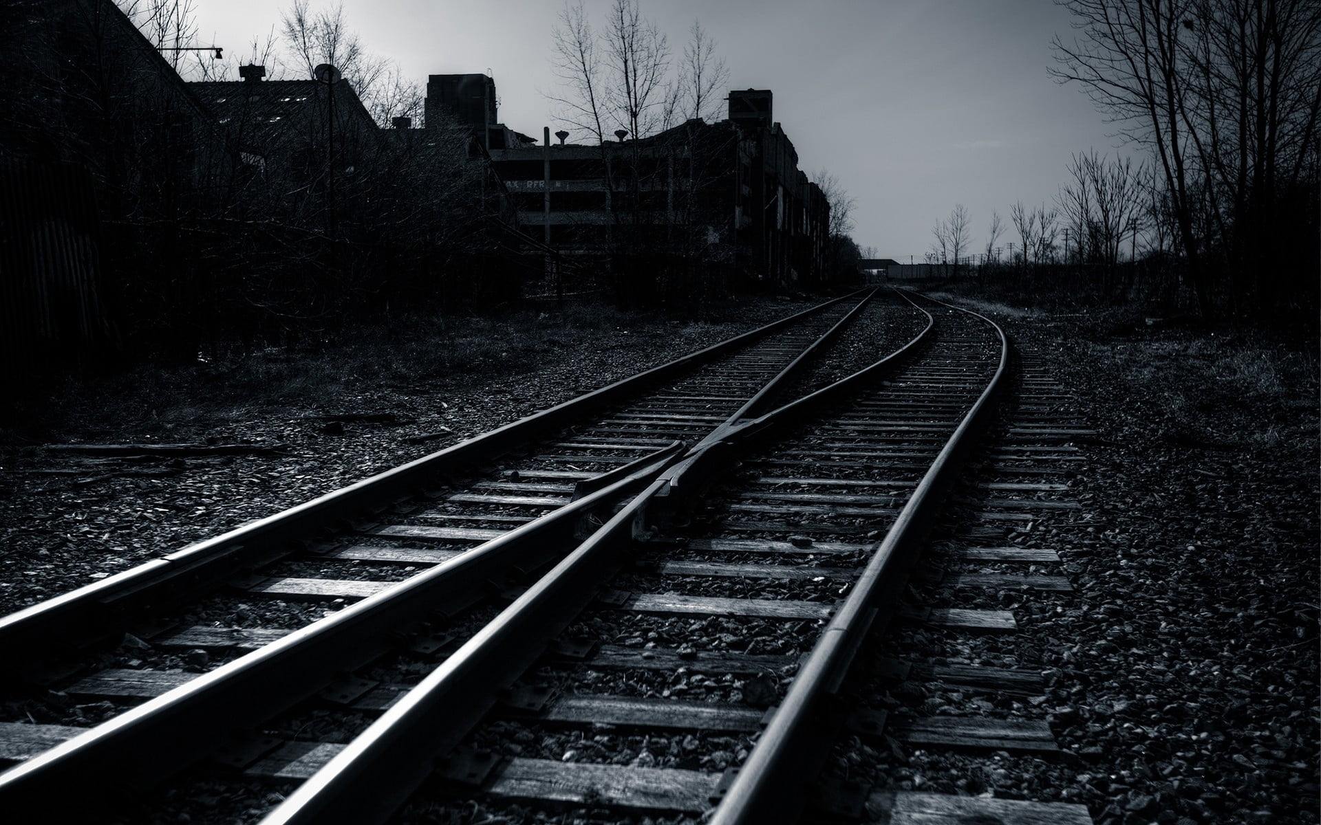 railroad Junction, tree, railway, vanishing Point, evening, transportation, day, no People, nature, diminishing Perspective, steel, gray, mode of transportation, HD Wallpaper