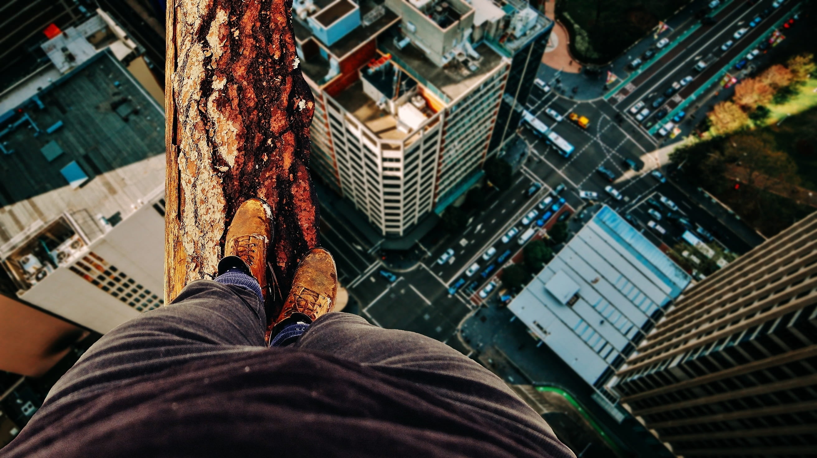 tree, one person, junction, gorge road, human leg, 2K, risk, buildings, outdoors, log, personal perspective, building, tired of living, courageous, height, HD Wallpaper